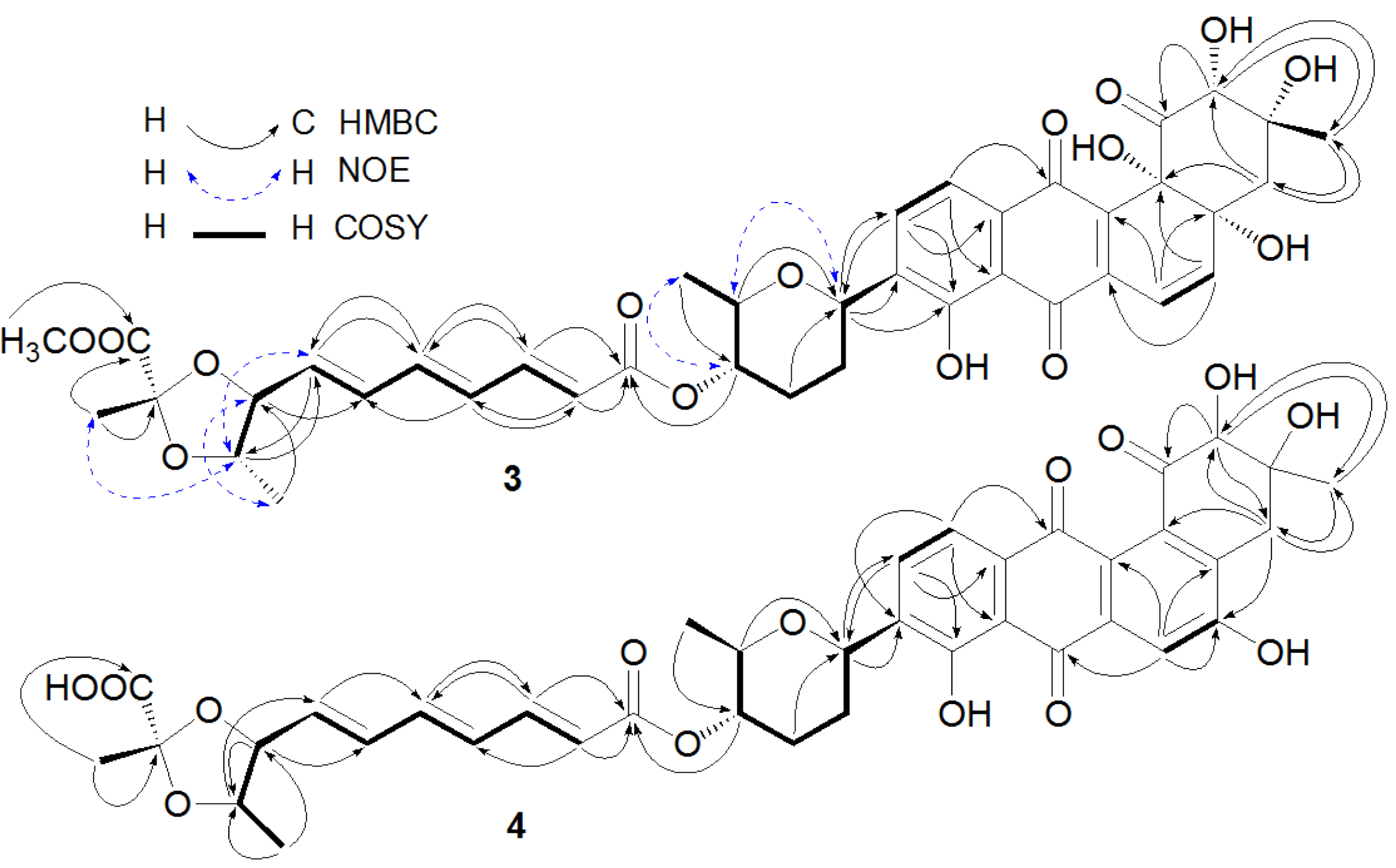 Marinedrugs 10 02388 g002 1024