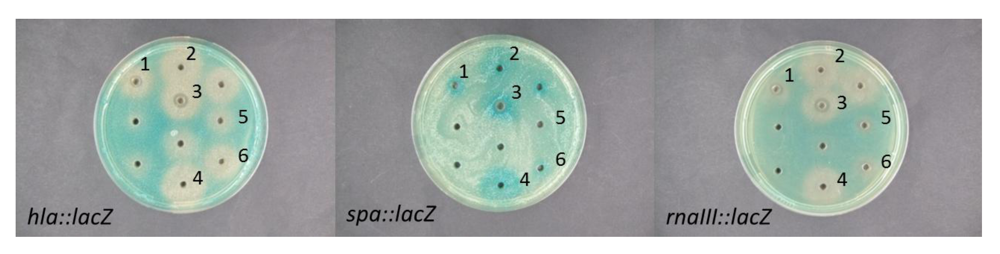 Marinedrugs 10 02584 g002 1024