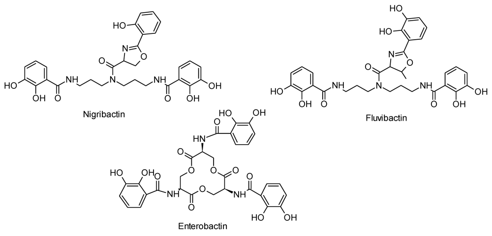 Marinedrugs 10 02584 g005 1024