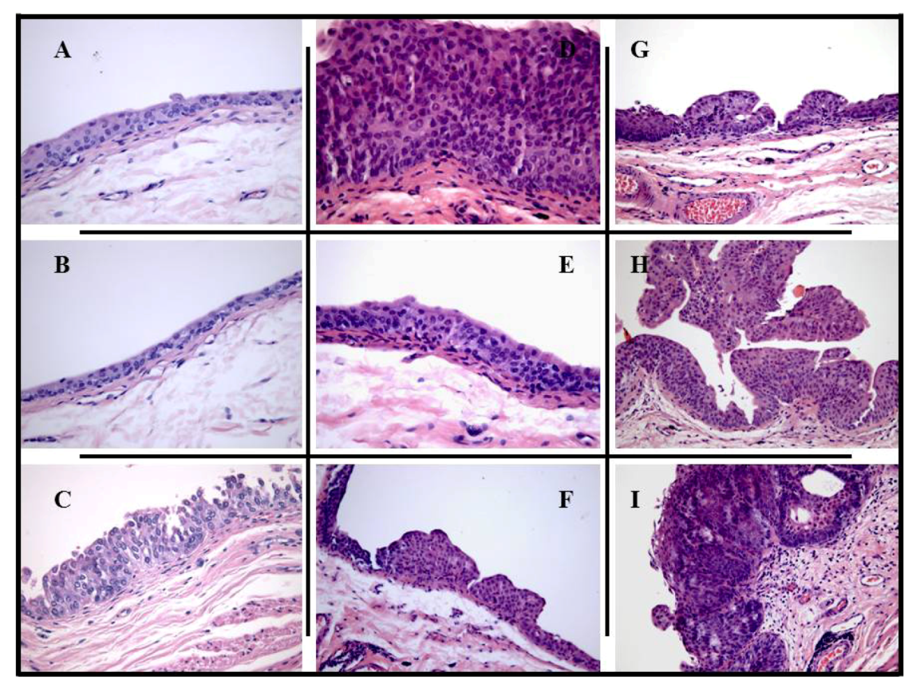 Marinedrugs 10 02661 g003