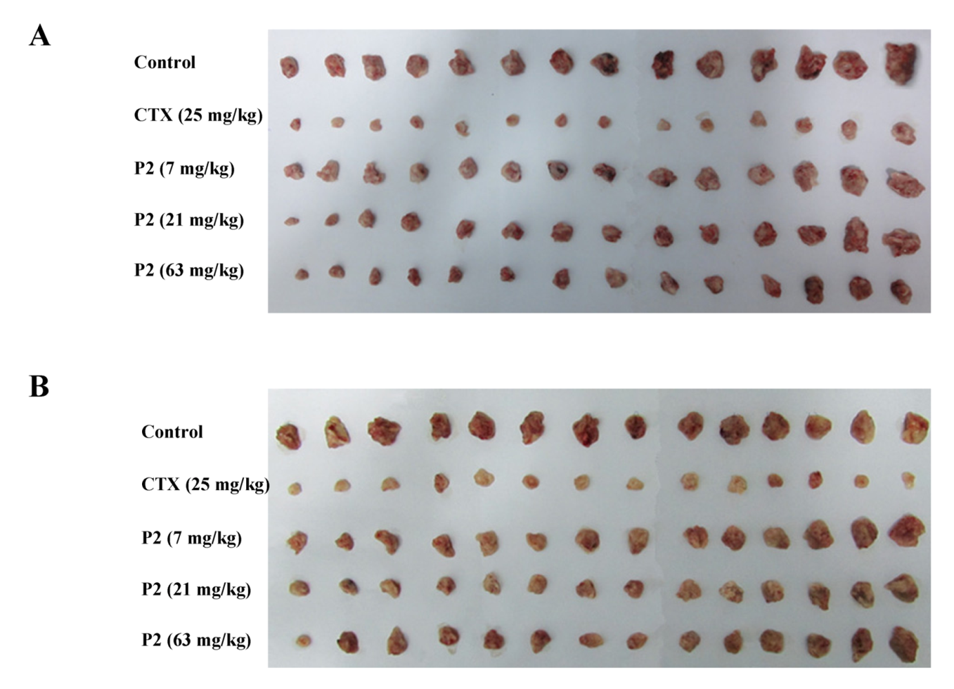 Marinedrugs 10 02782 g006 1024