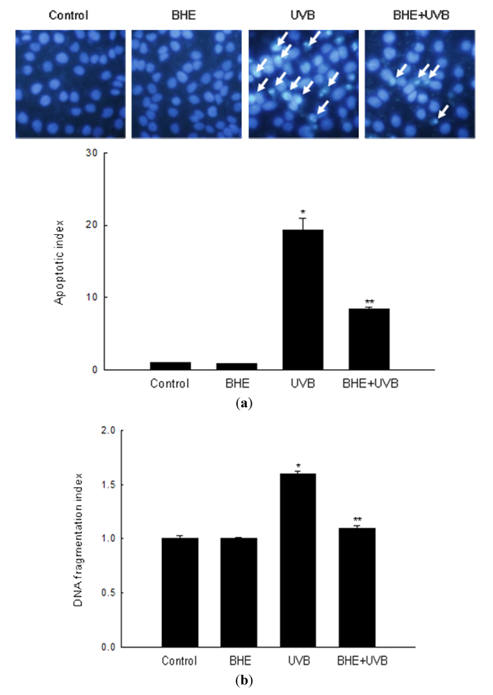 Marinedrugs 10 02826 g002