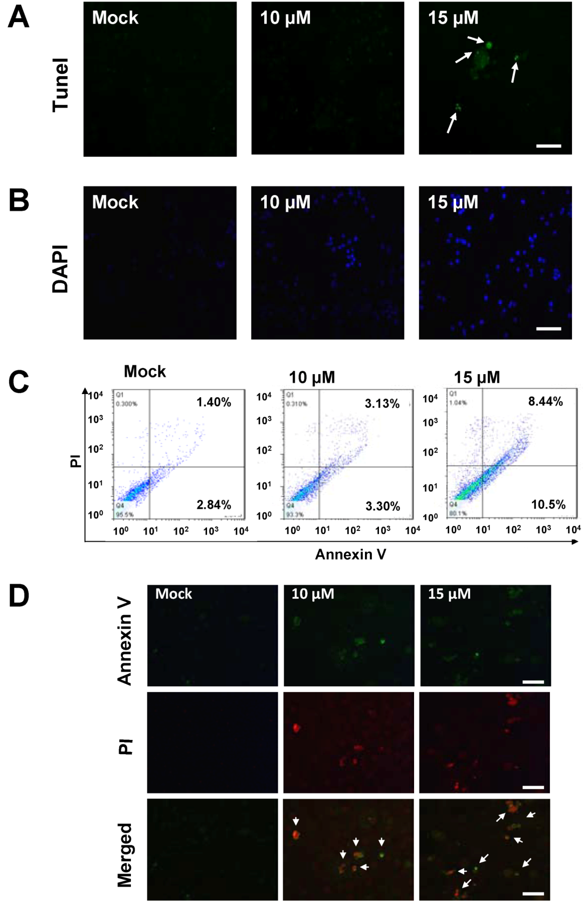 Marinedrugs 10 02893 g003 1024