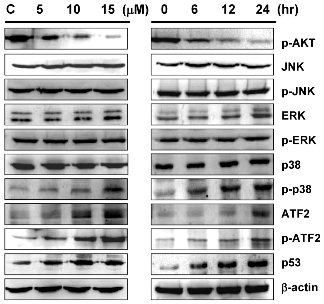 Marinedrugs 10 02893 g006 1024