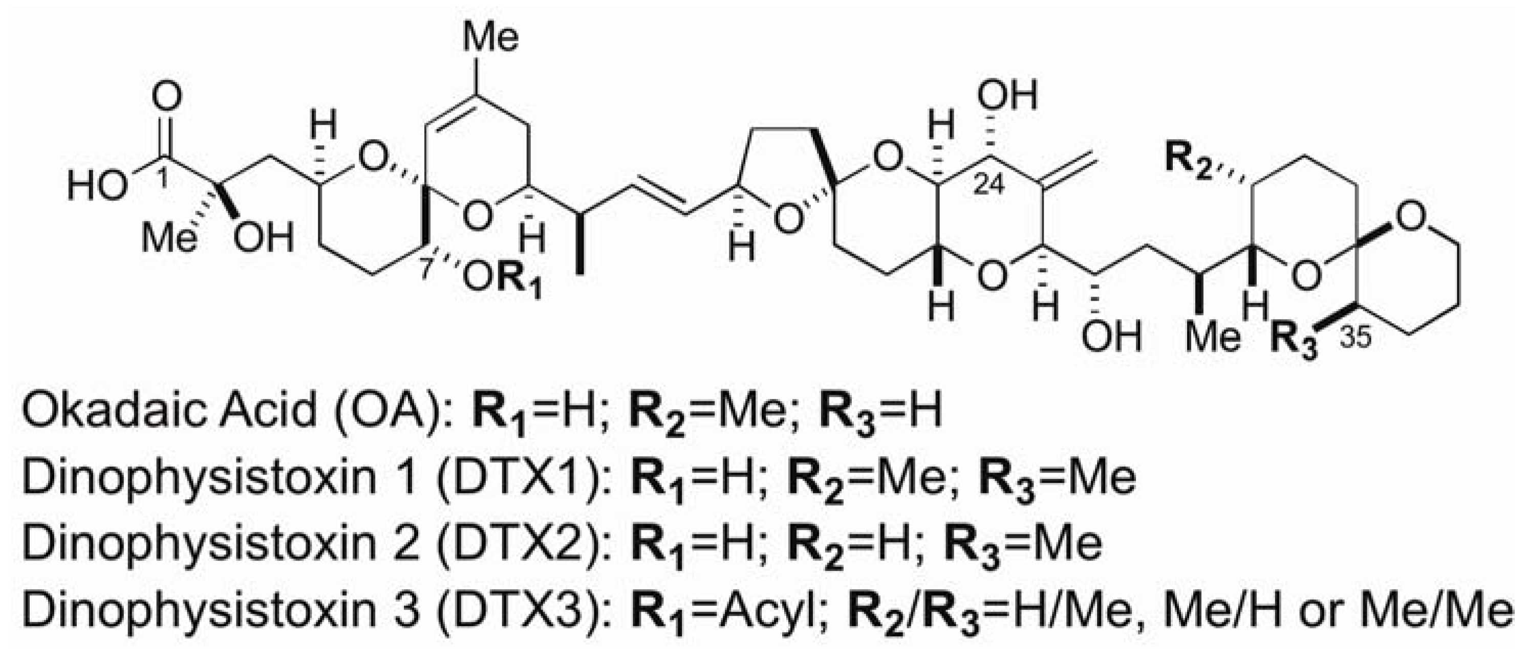 Marinedrugs 11 00300 g001