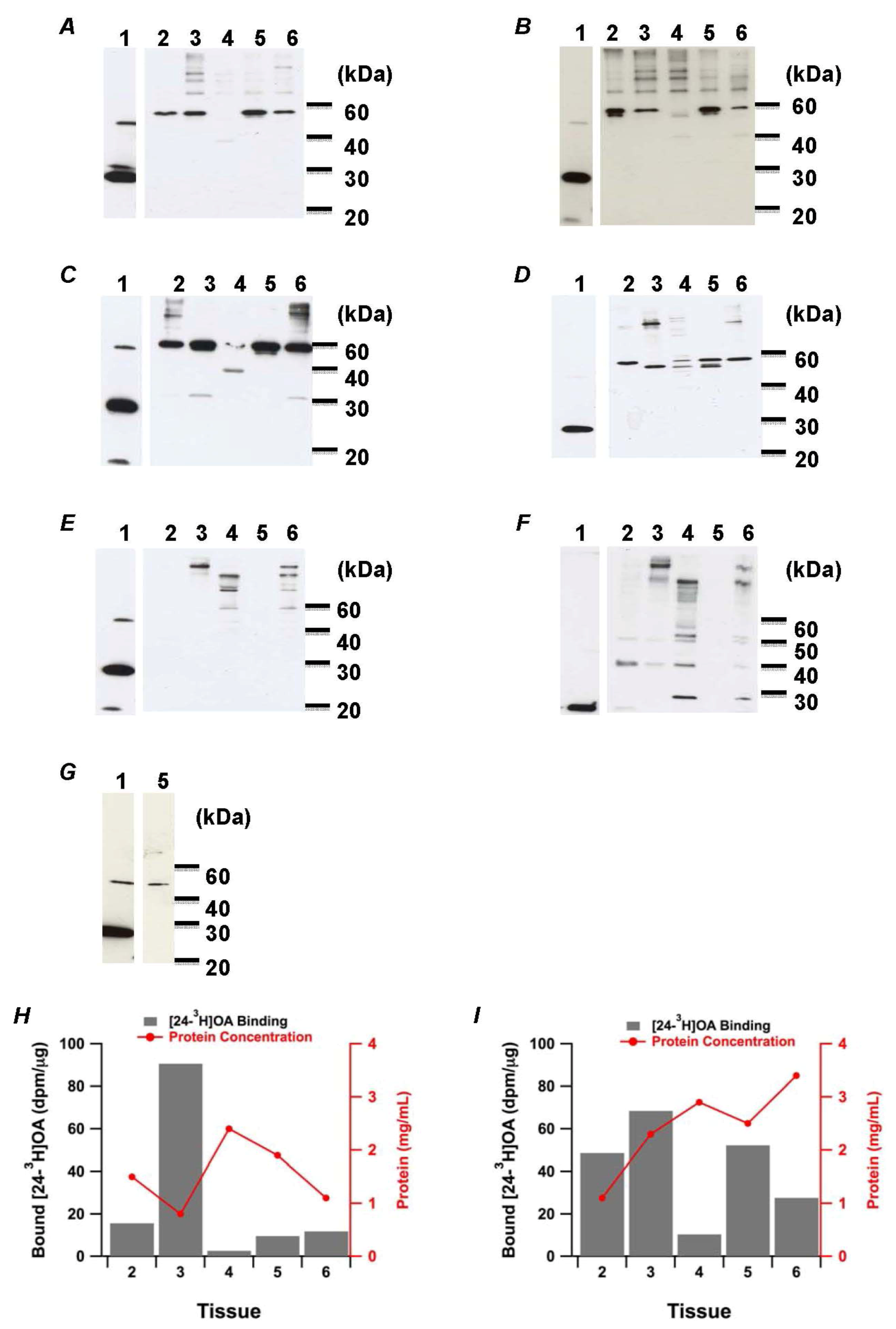 Marinedrugs 11 00300 g002