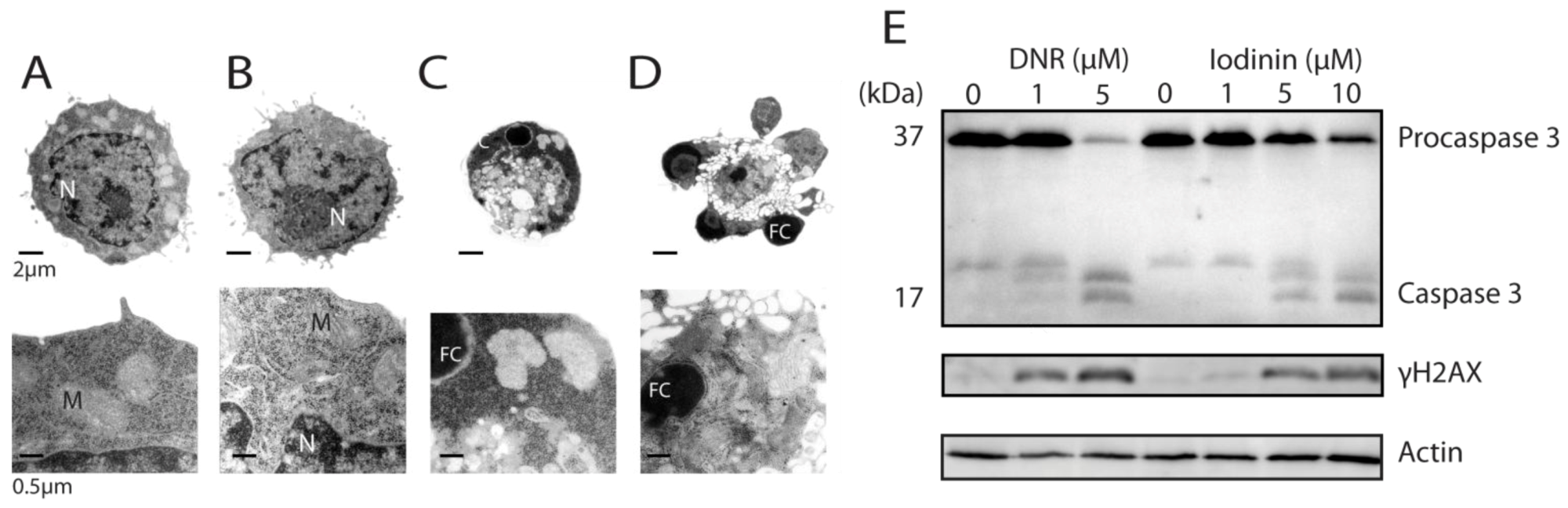 Marinedrugs 11 00332 g002 1024