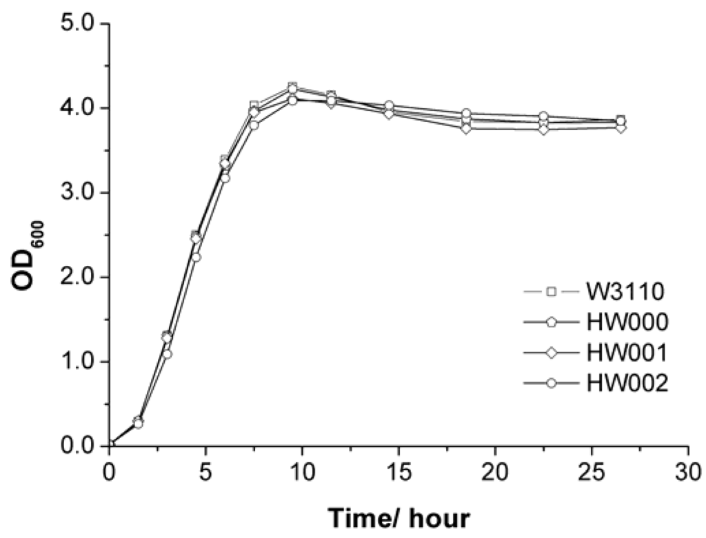 Construction of Monophosphoryl Lipid A Producing Escherichia