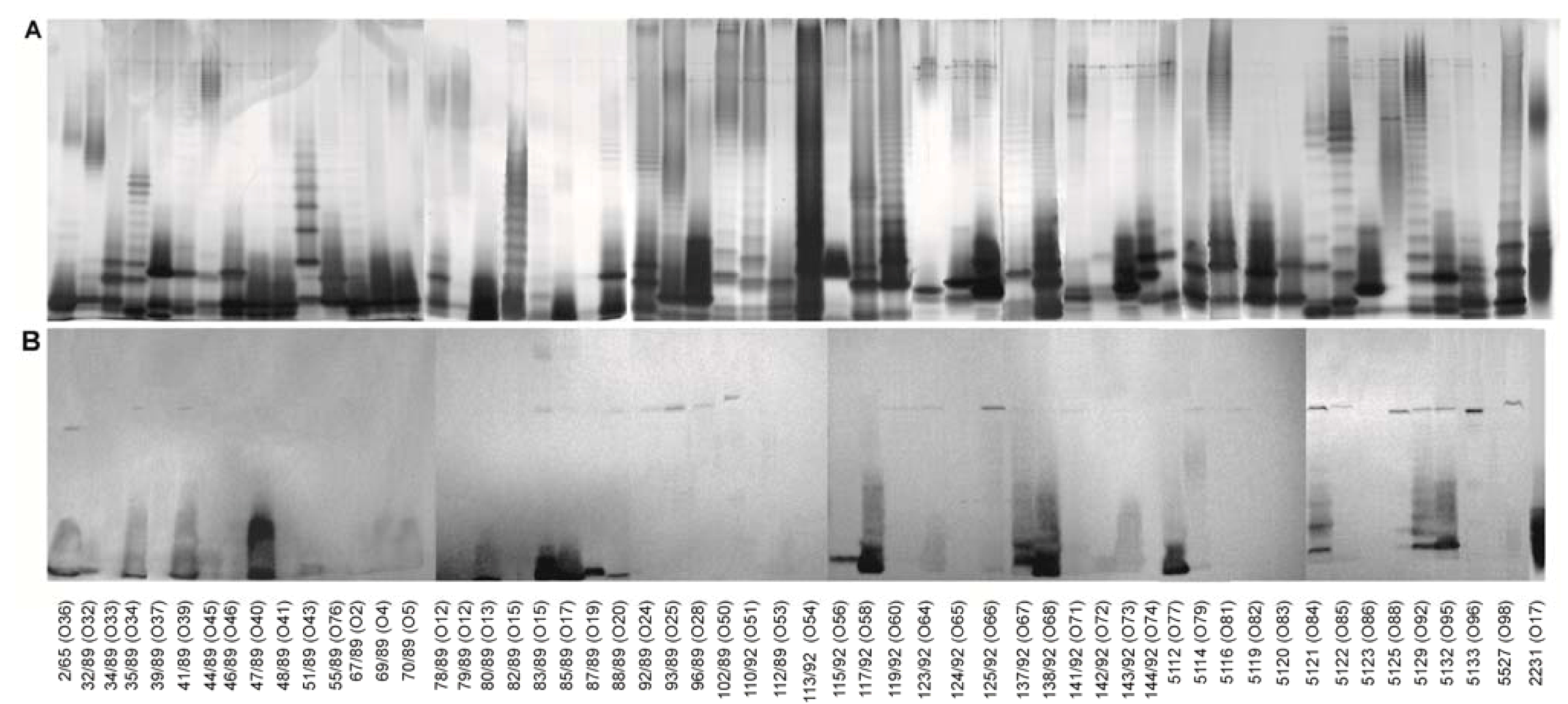 Marinedrugs 11 00440 g003