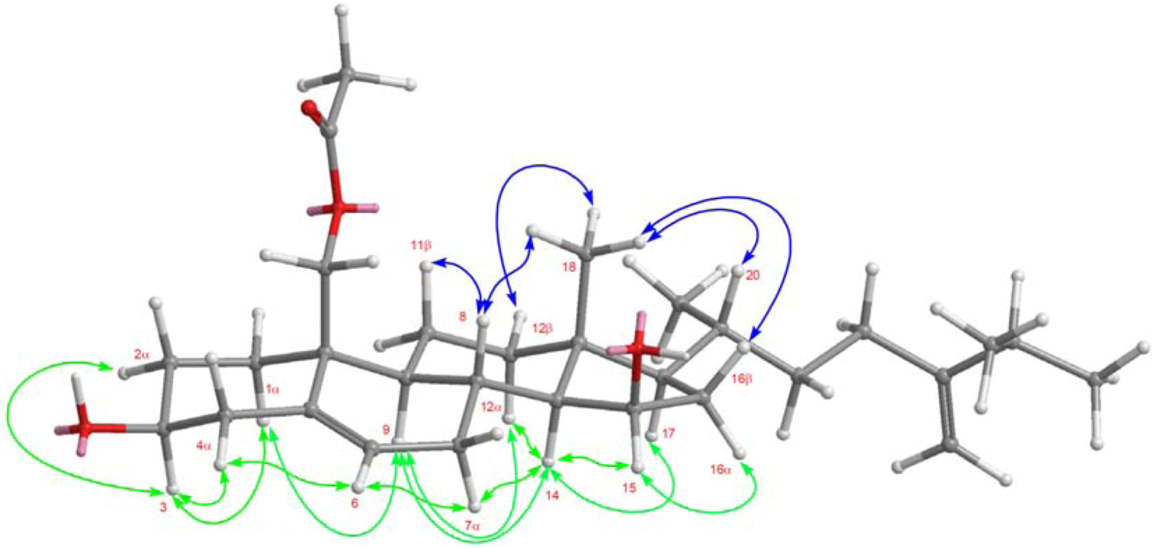 Marinedrugs 11 00571 g004