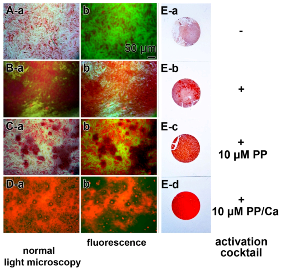 Marinedrugs 11 00718 g001 1024