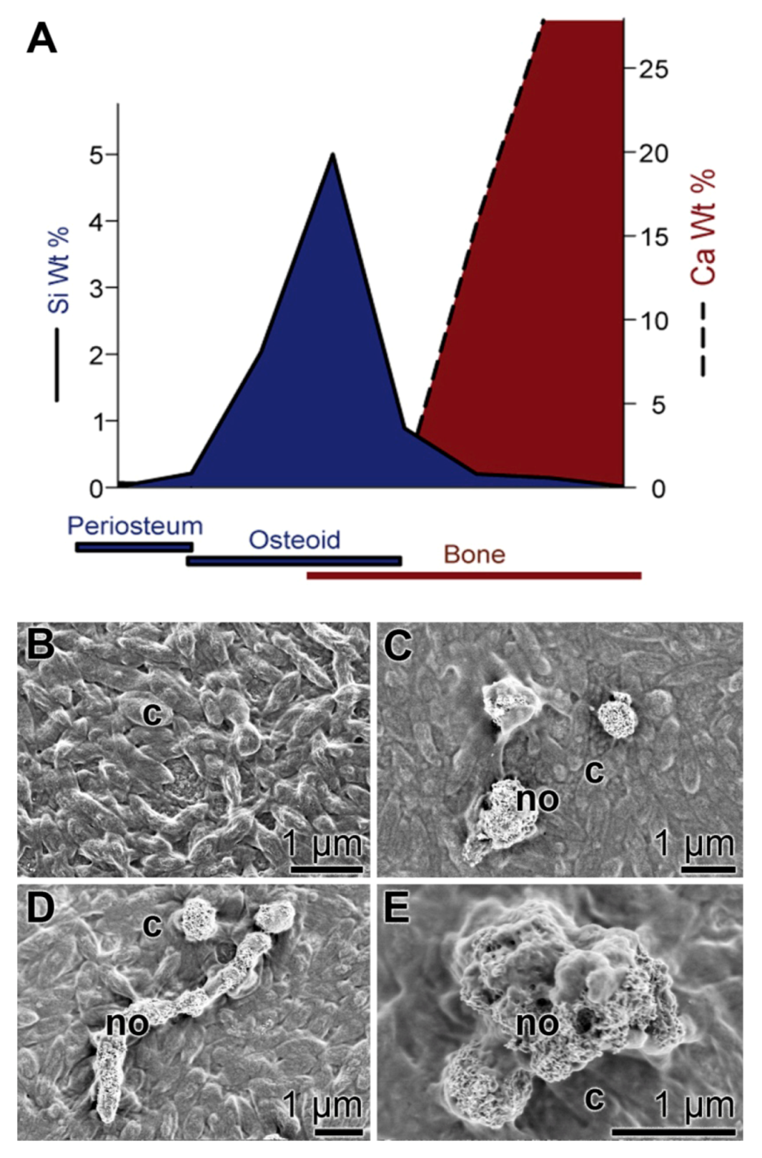 Marinedrugs 11 00718 g003 1024