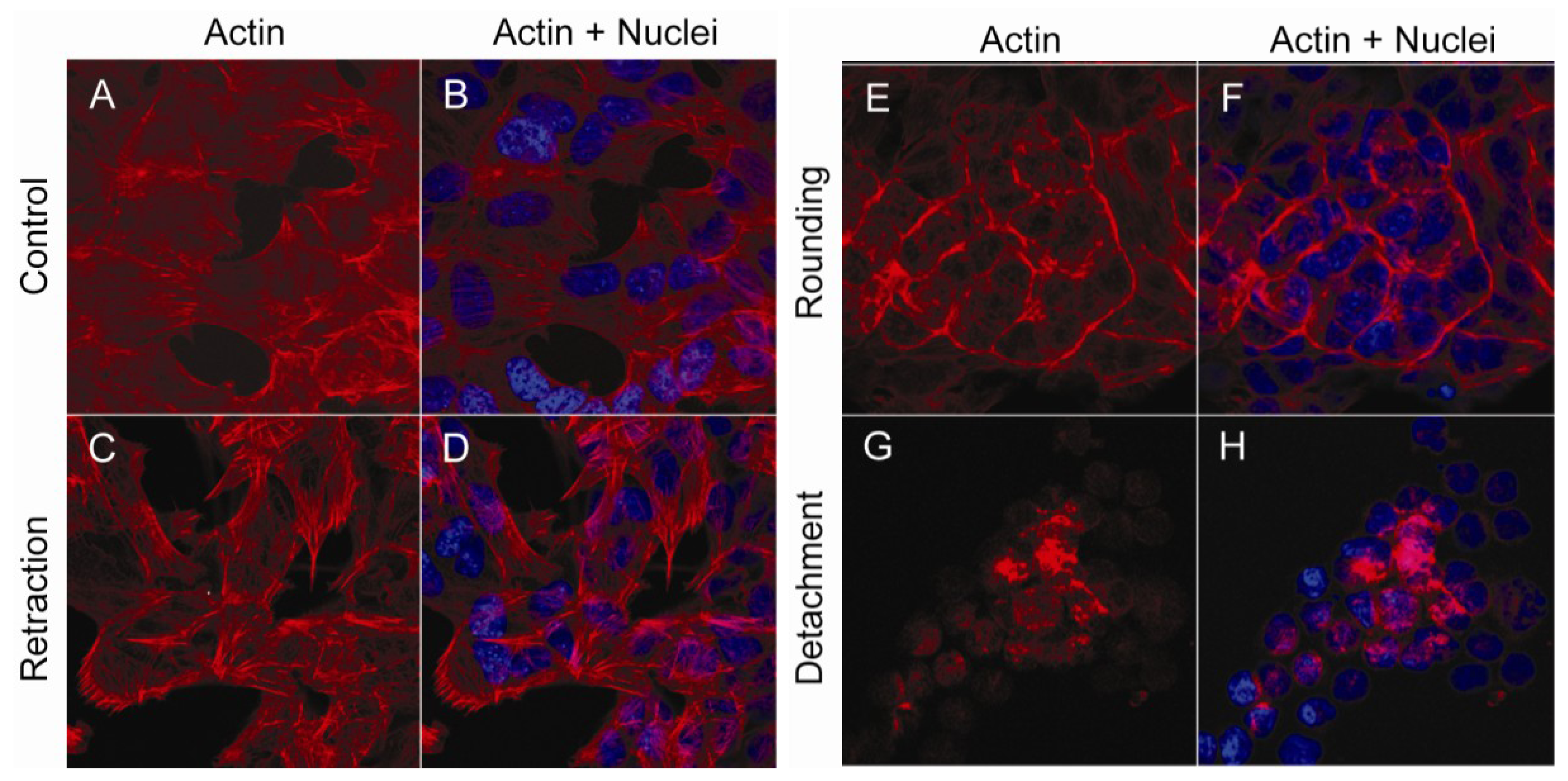 Marinedrugs 11 01763 g001