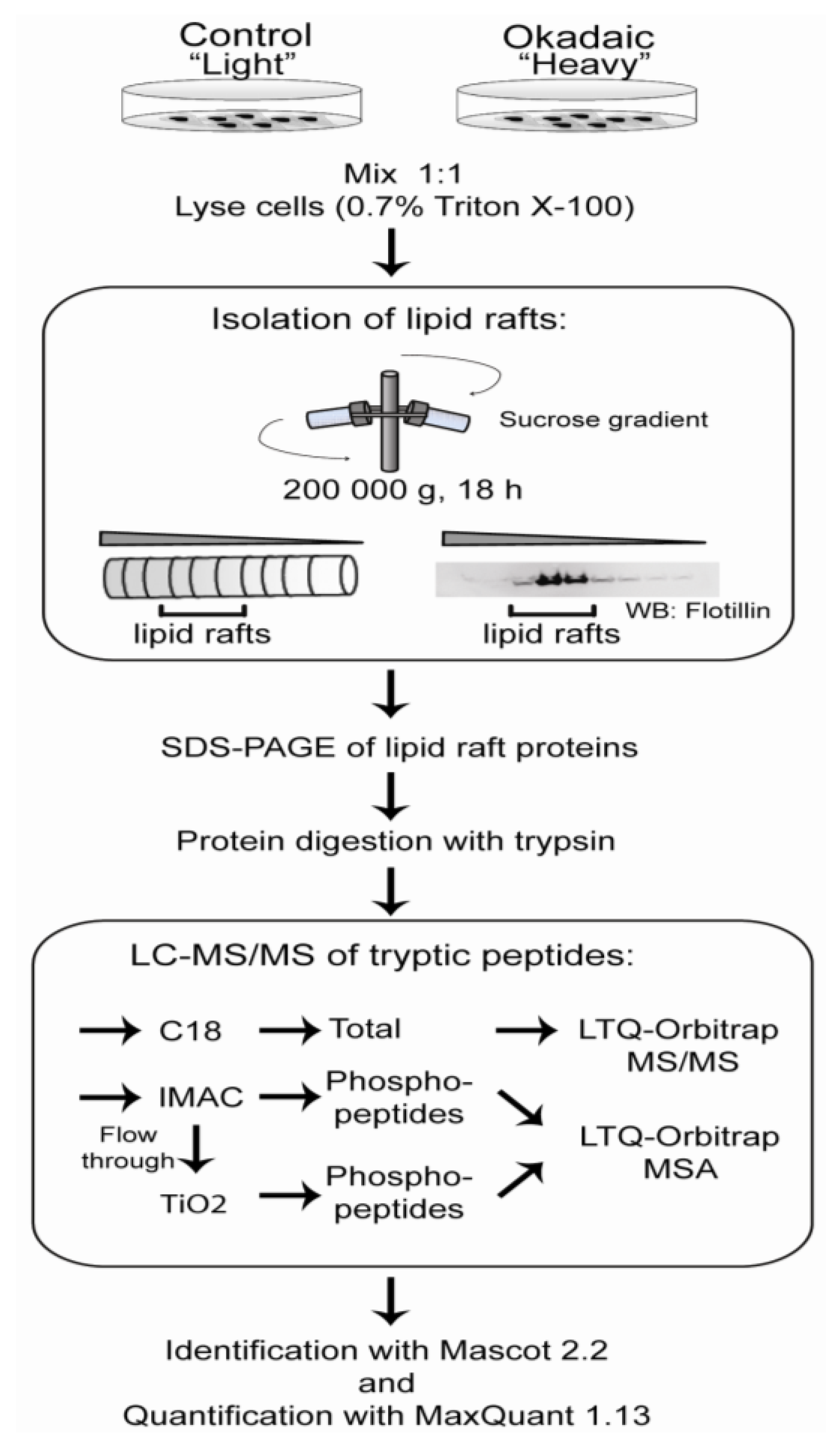 Marinedrugs 11 01763 g002