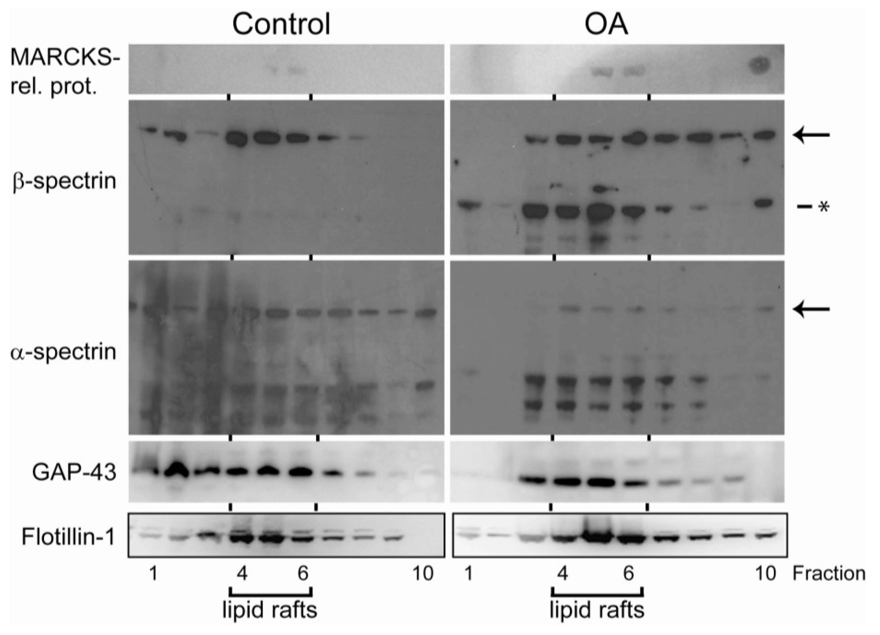 Marinedrugs 11 01763 g004