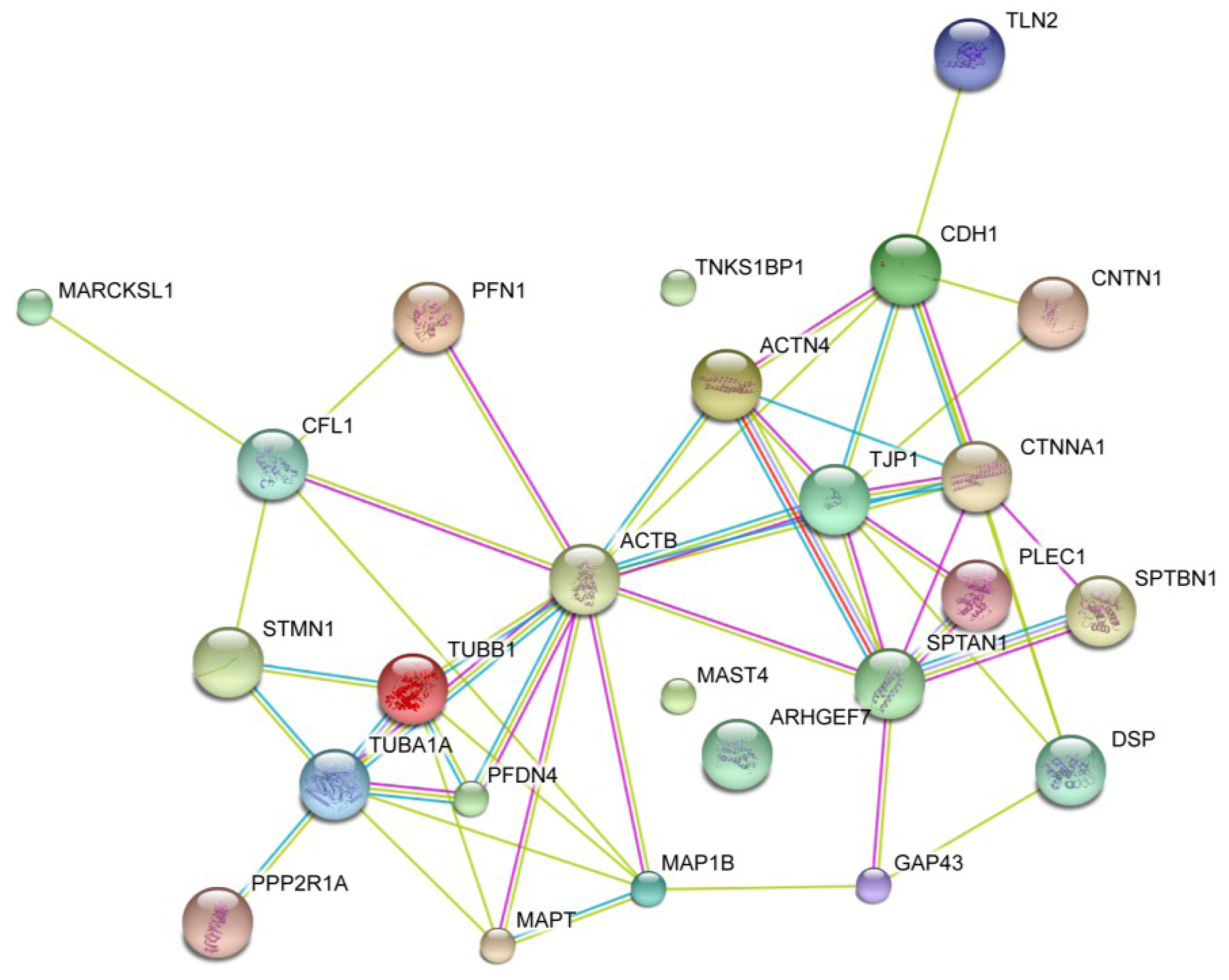 Marinedrugs 11 01763 g006