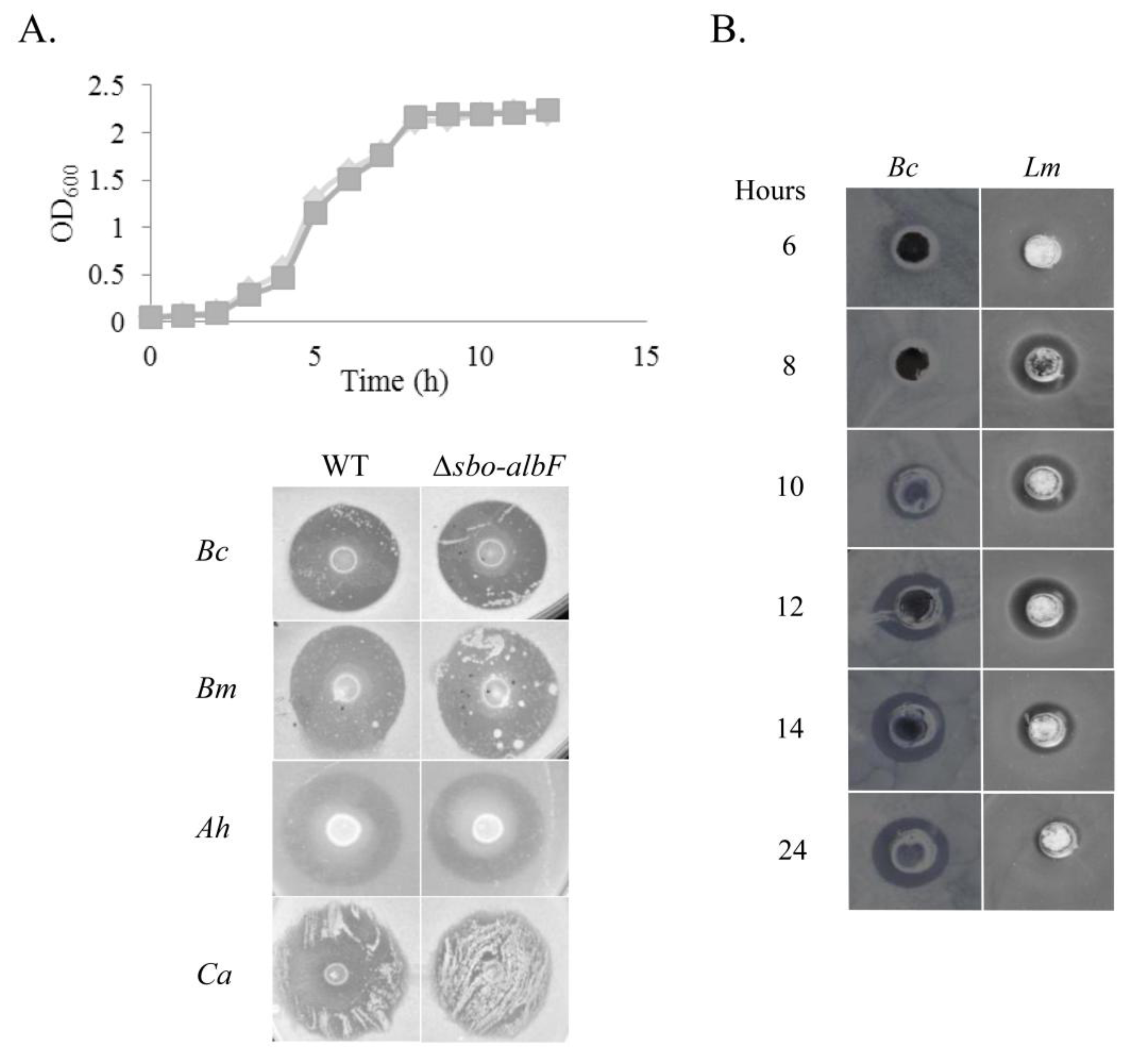 Marinedrugs 11 01878 g001
