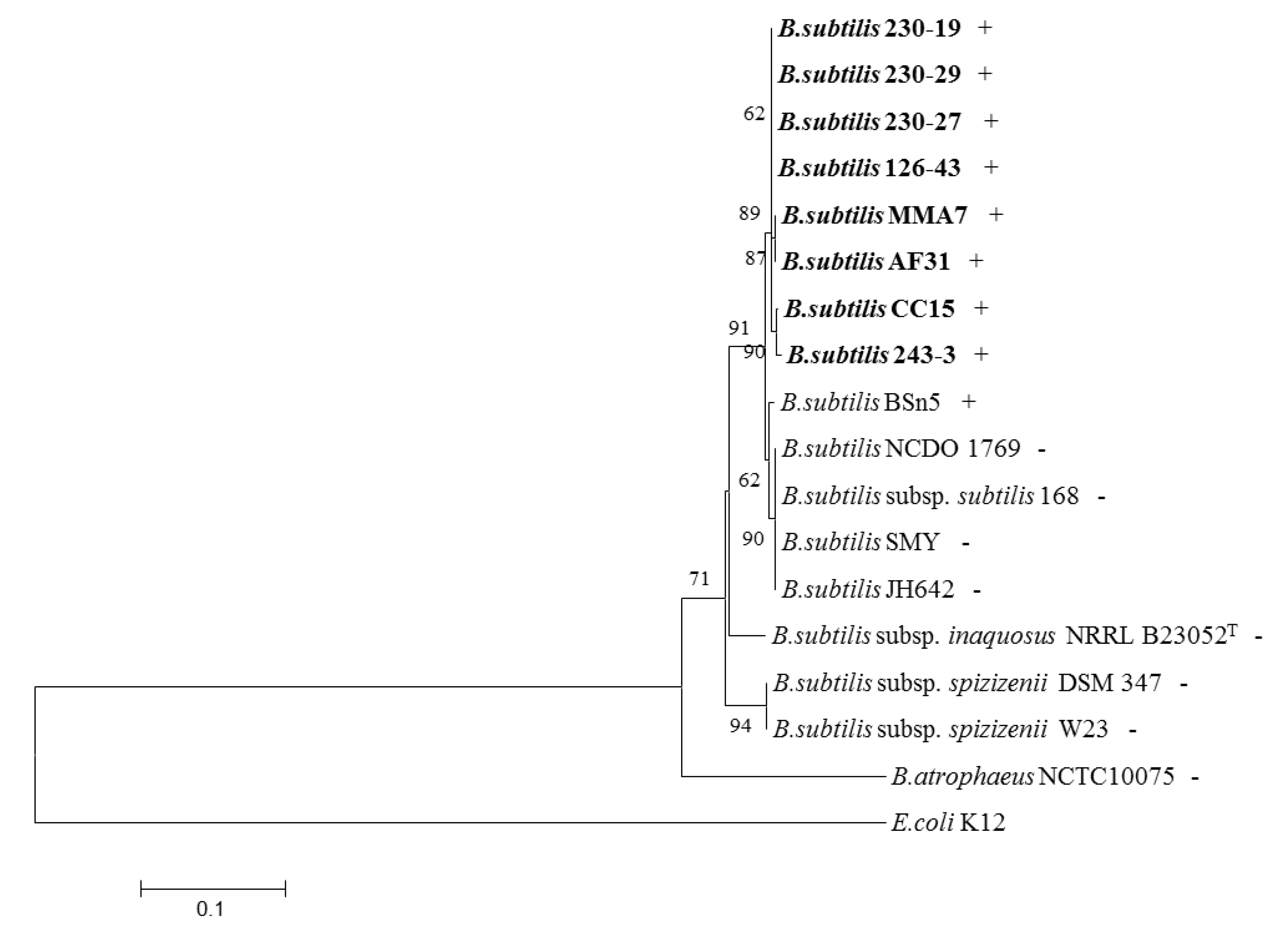 Marinedrugs 11 01878 g006