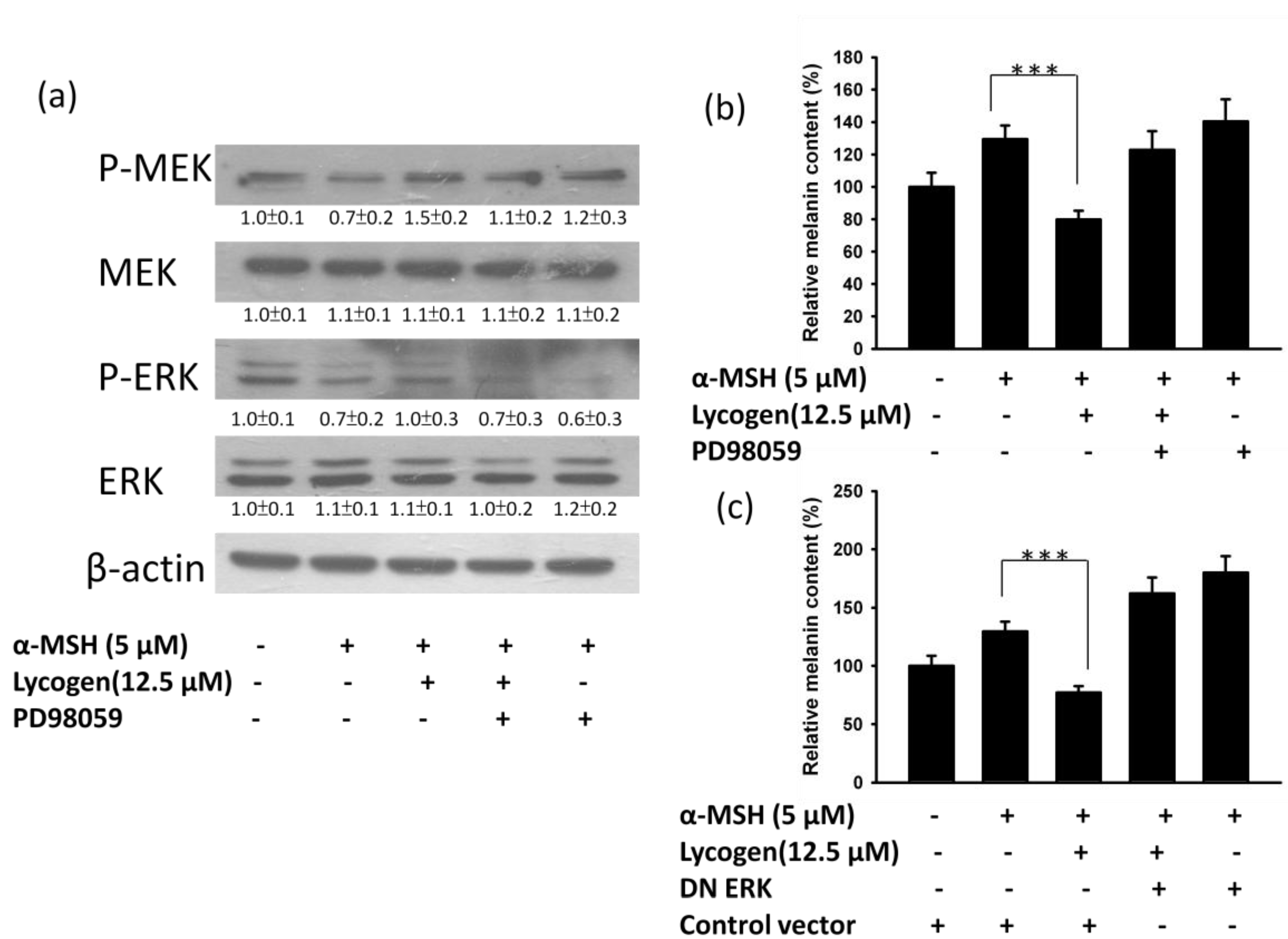 Marinedrugs 11 01899 g004