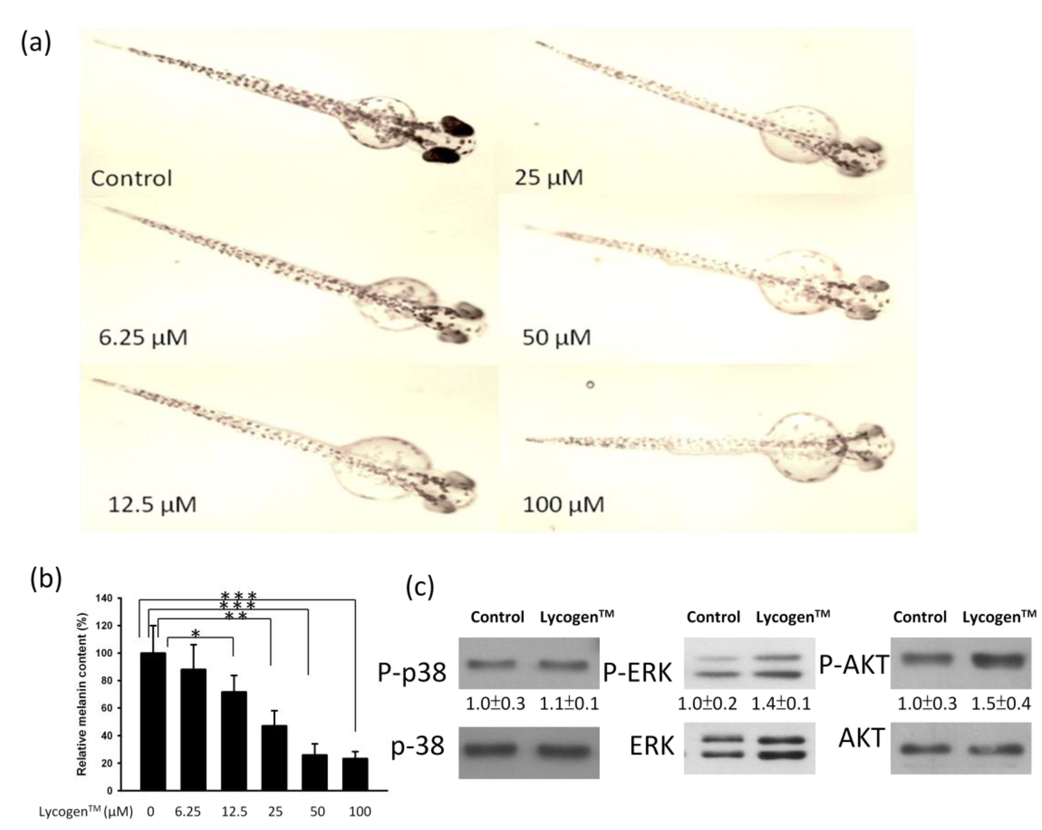 Marinedrugs 11 01899 g005