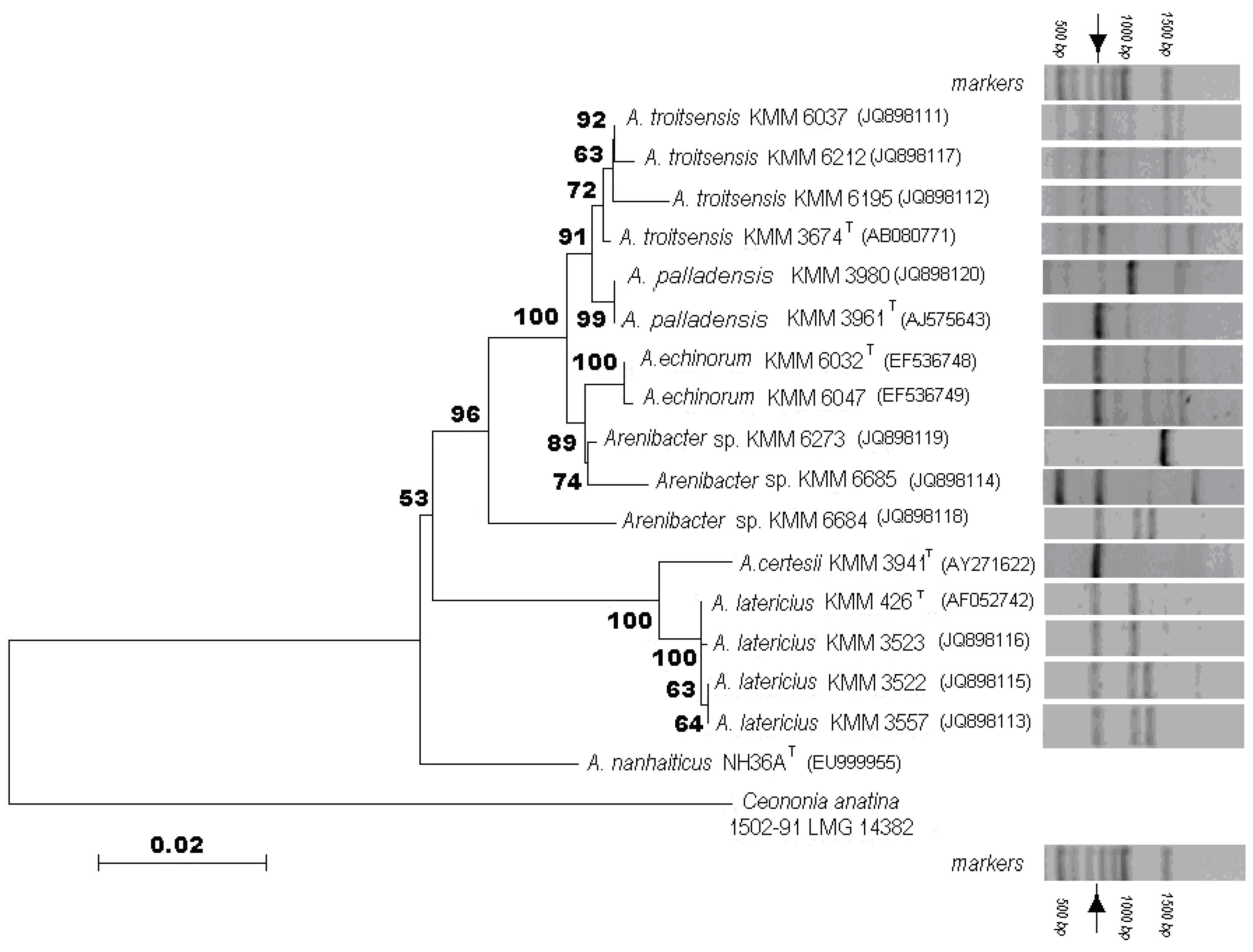Marinedrugs 11 01977 g001
