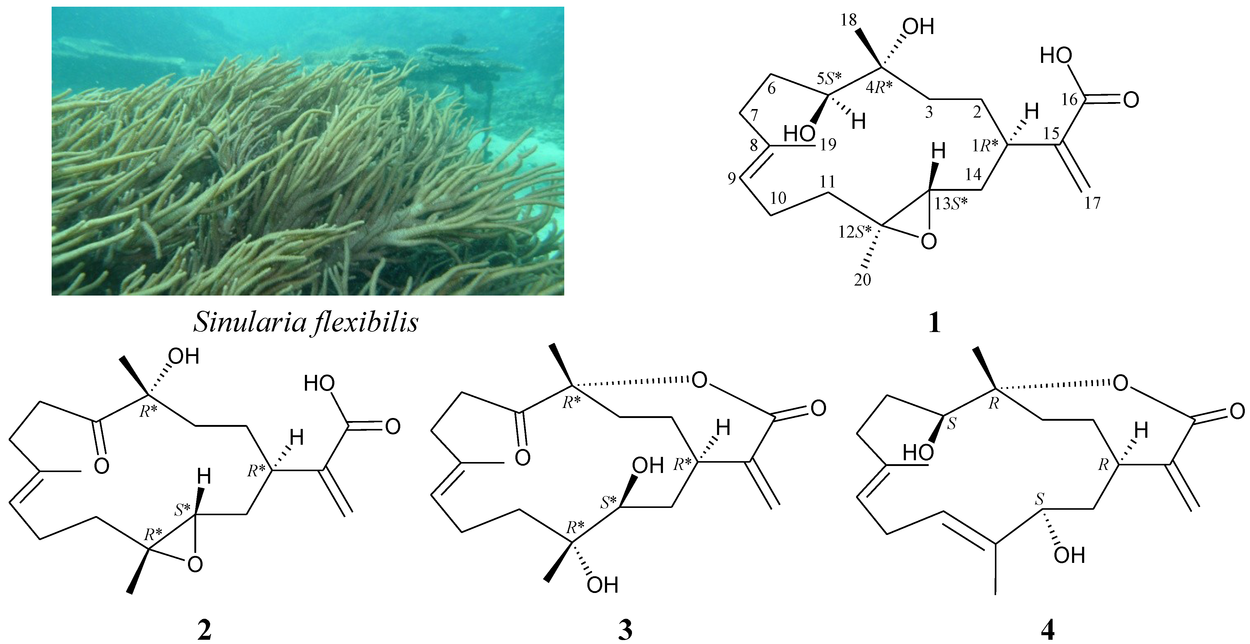 Marinedrugs 11 01999 g001 1024