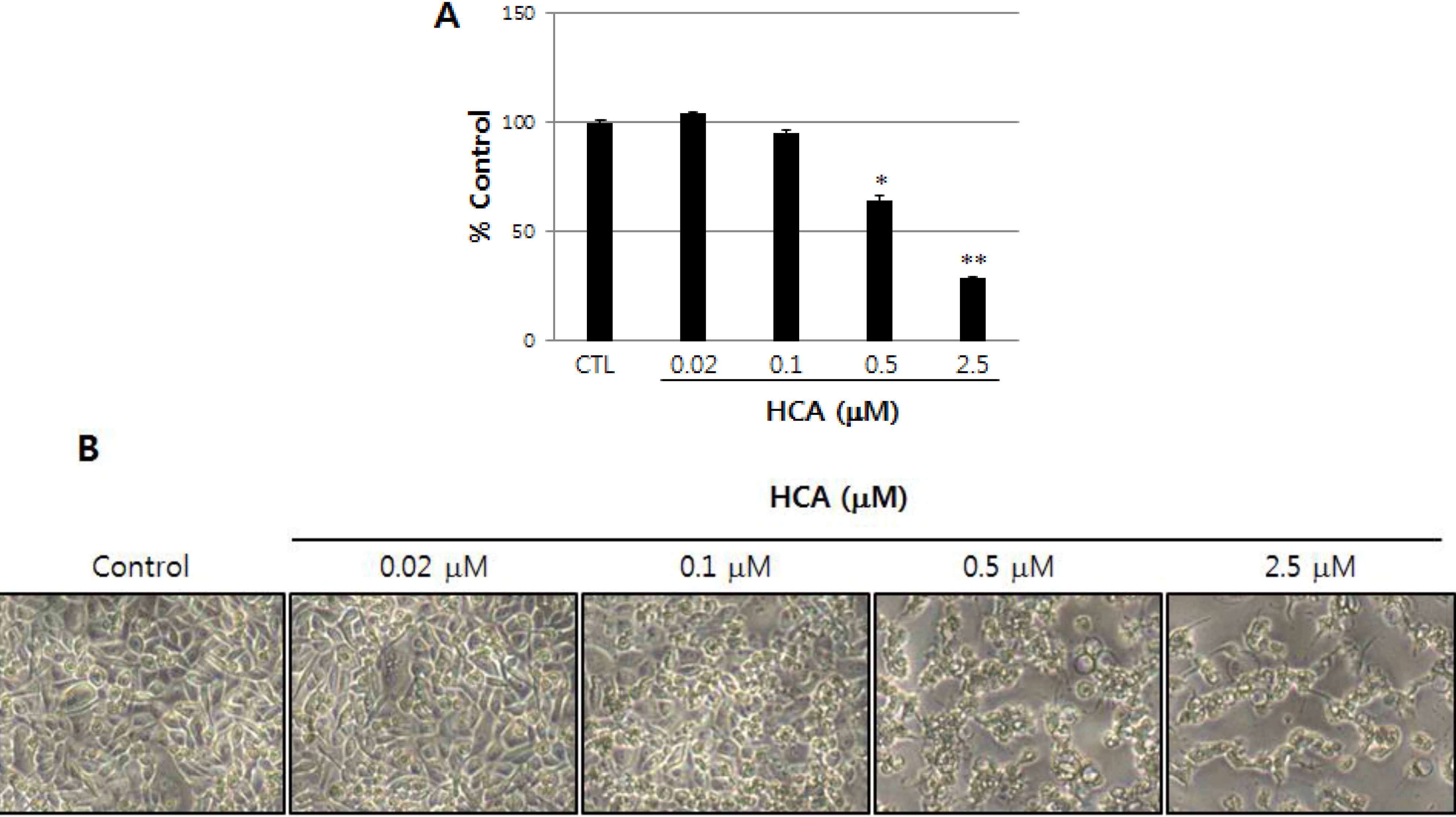 Marinedrugs 11 02472 g001