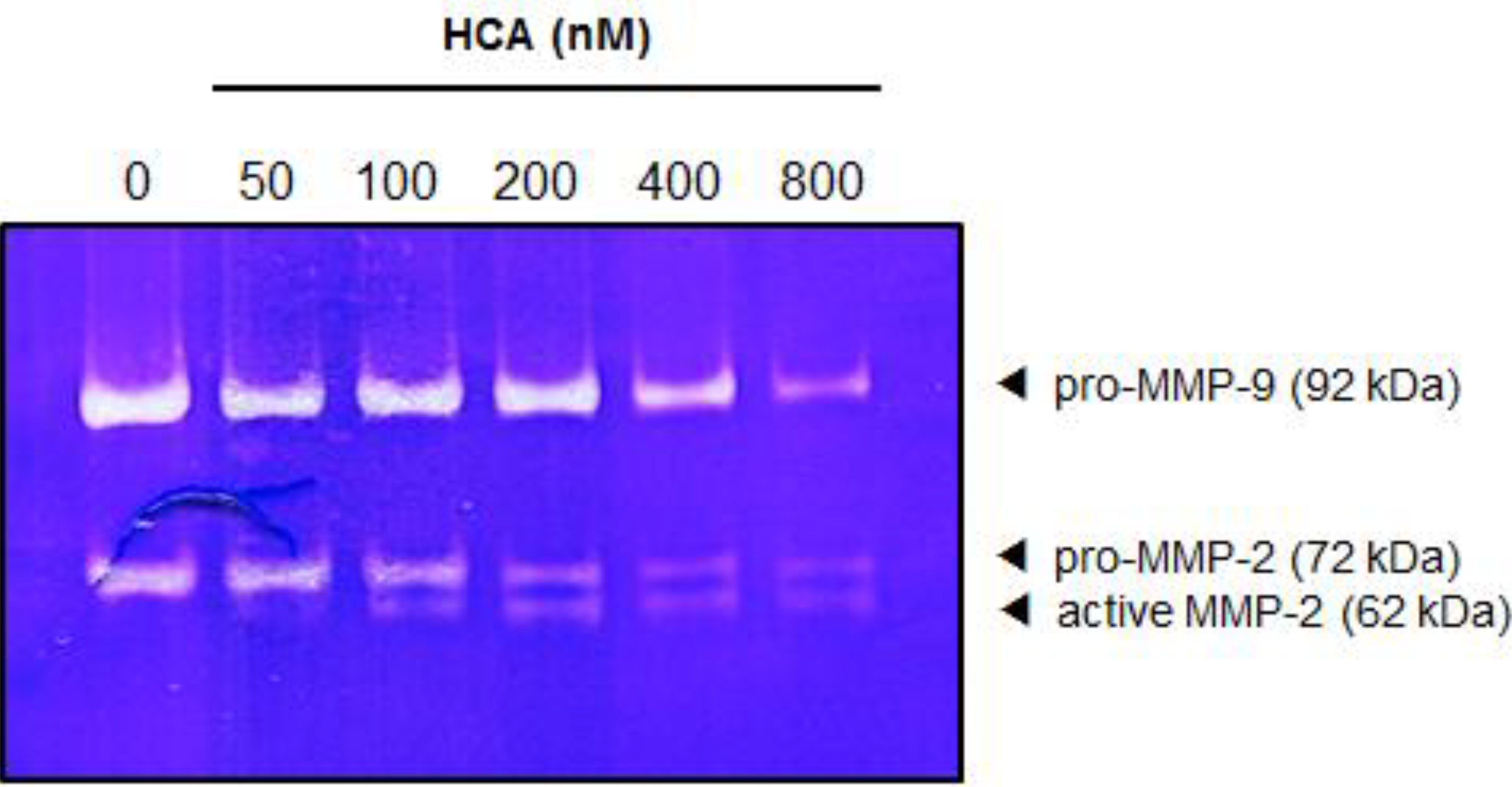 Marinedrugs 11 02472 g005