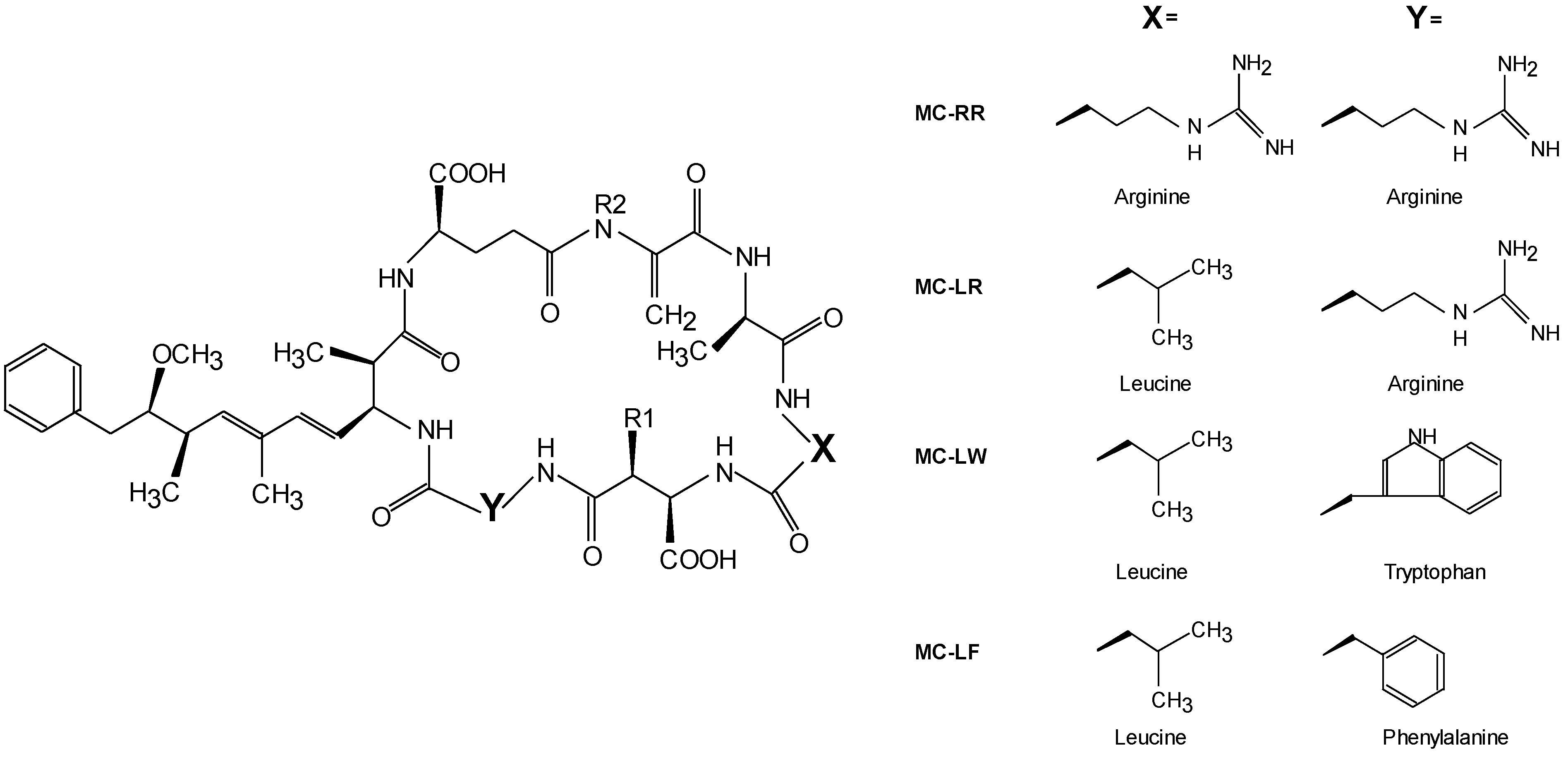 Marinedrugs 11 02643 g001
