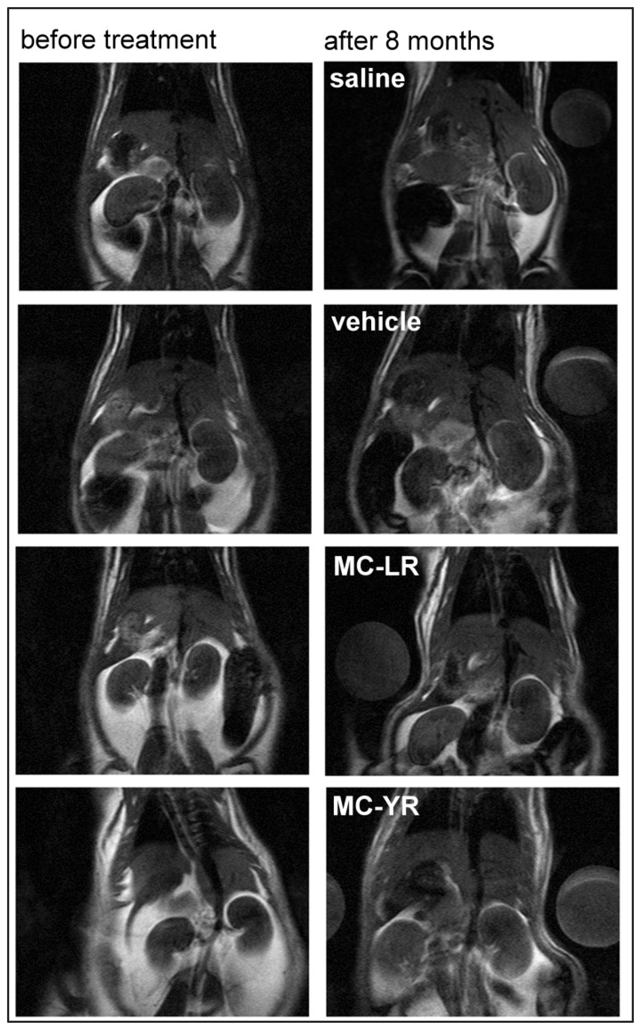 Marinedrugs 11 02785 g001 1024