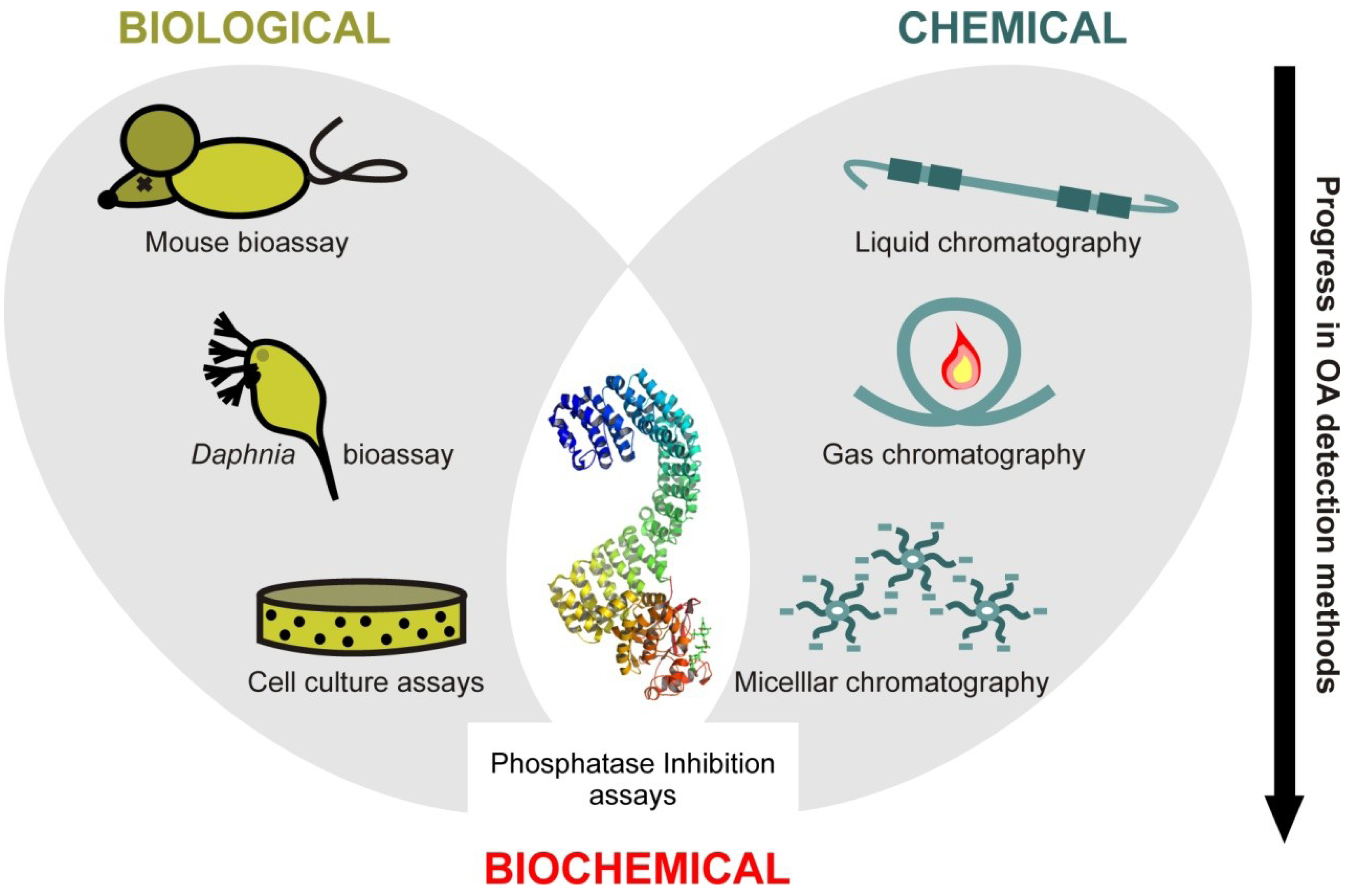 Marinedrugs 11 02829 g001 1024