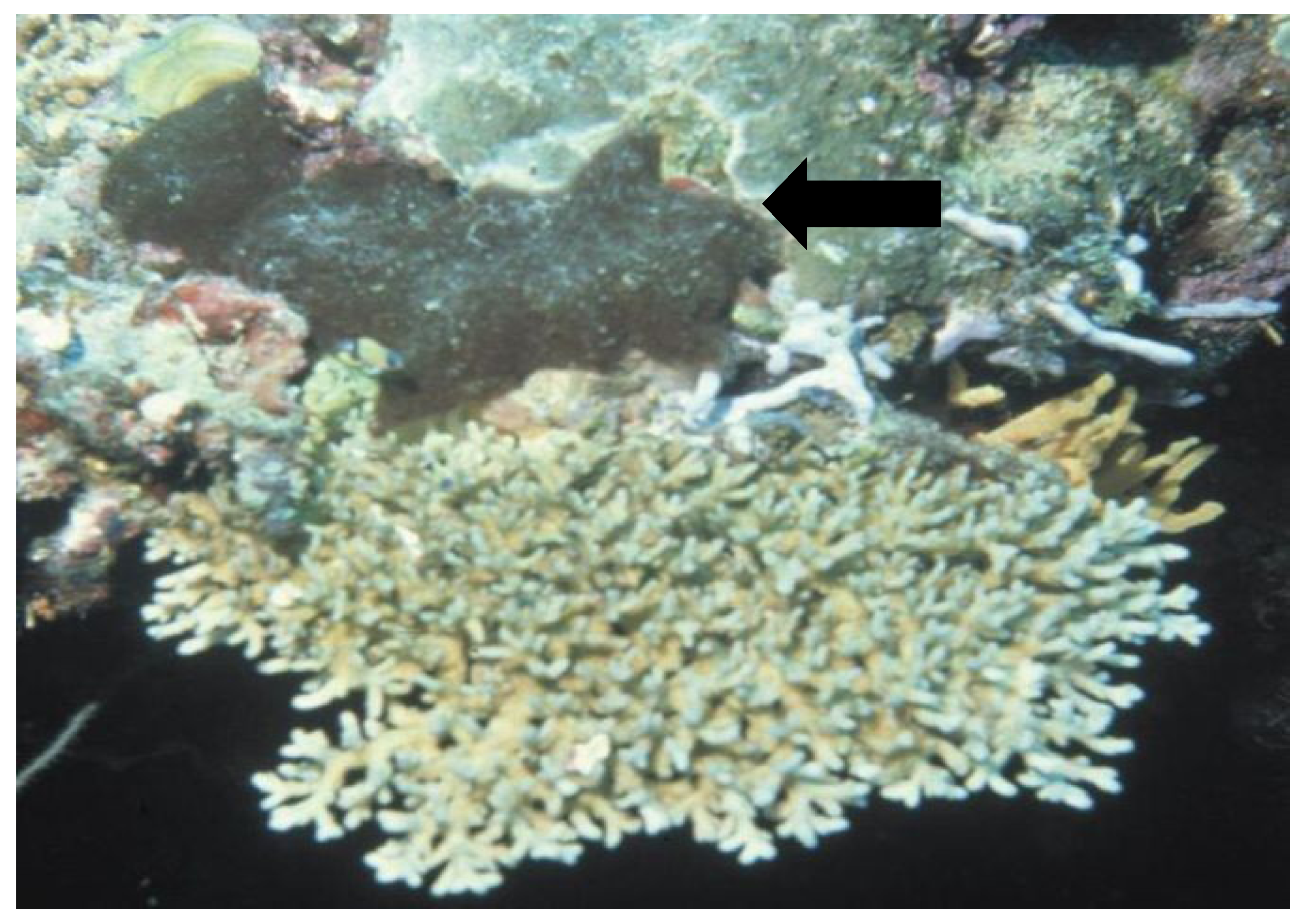 Marinedrugs 11 03015 g001