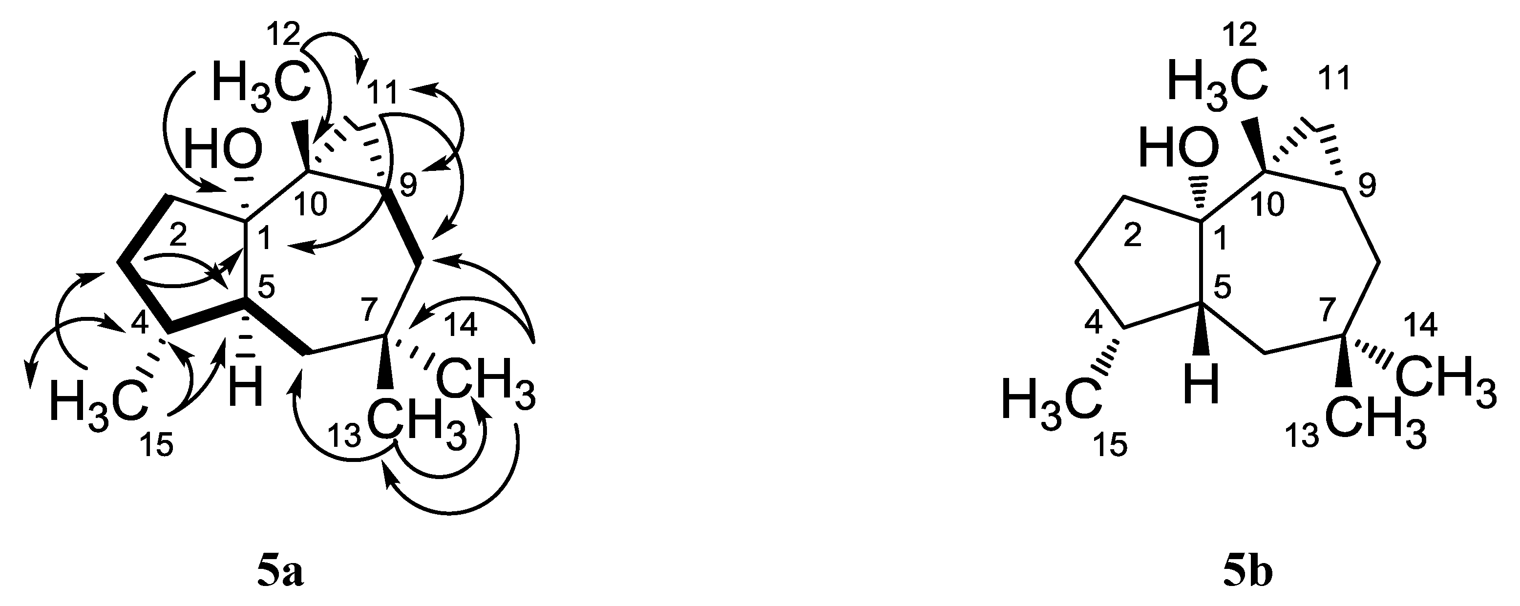 Marinedrugs 11 03109 g005 1024