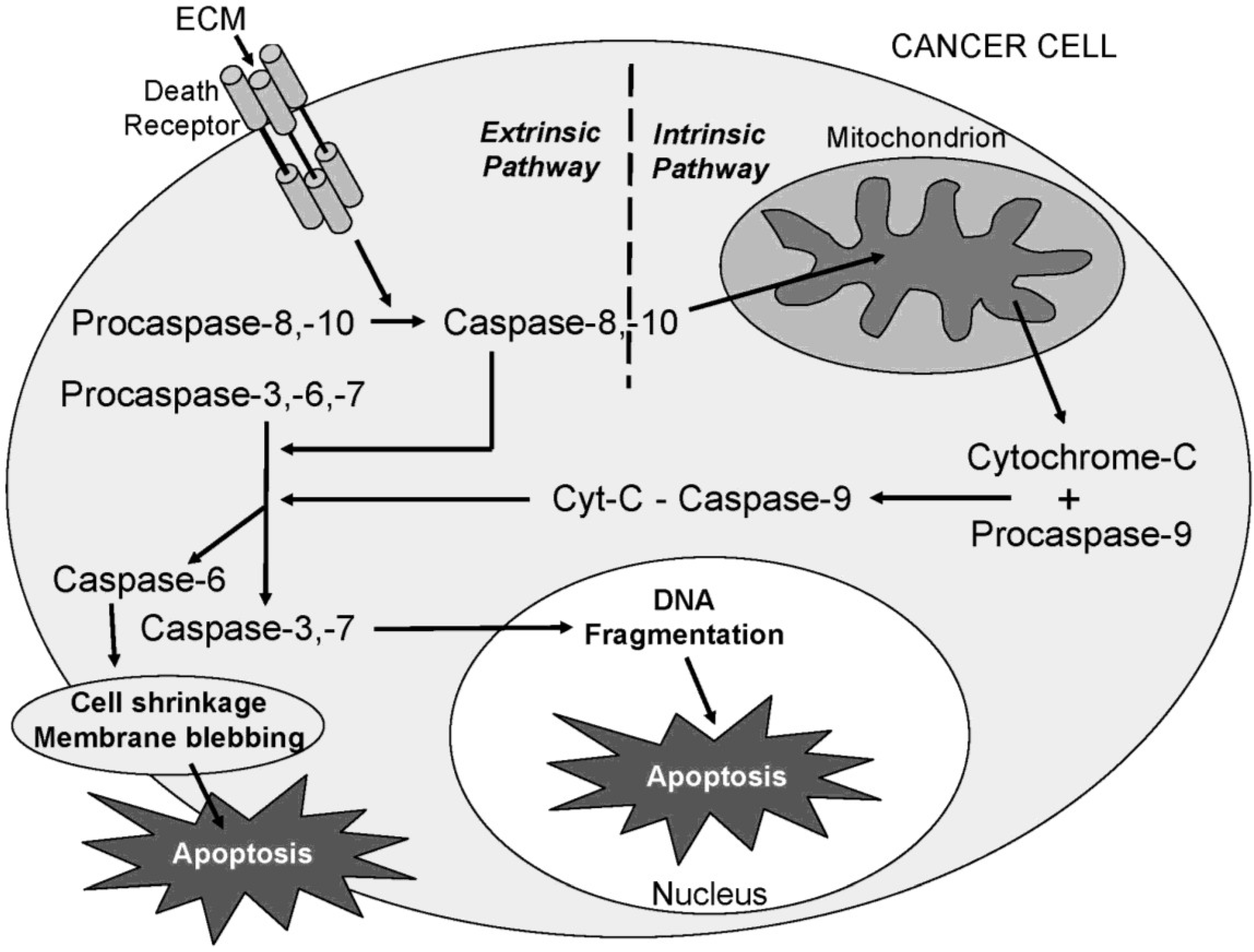 Marinedrugs 11 03224 g001 1024