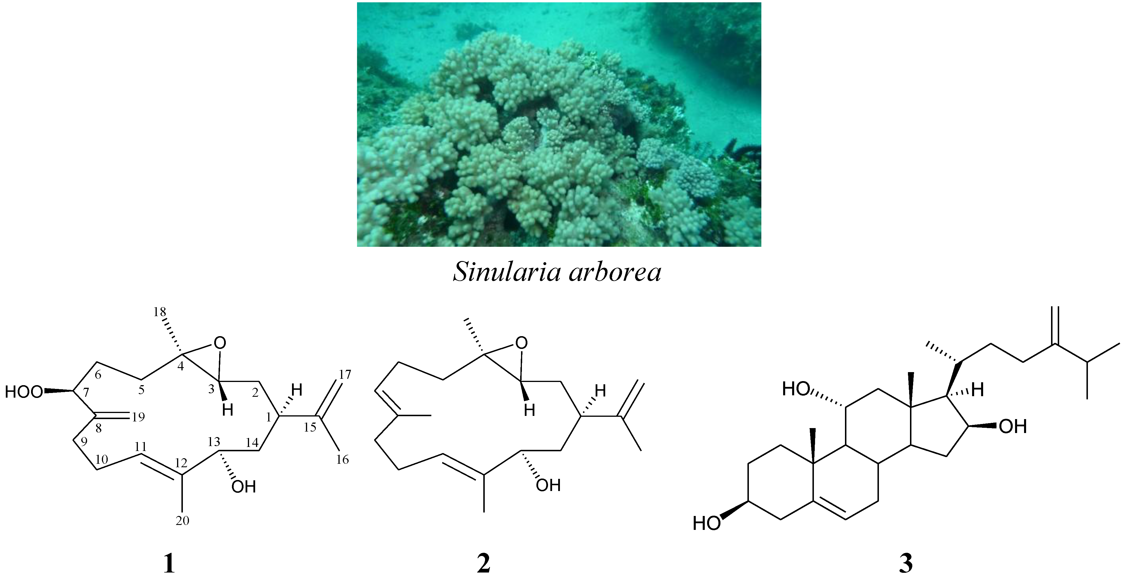 Marinedrugs 11 03372 g001