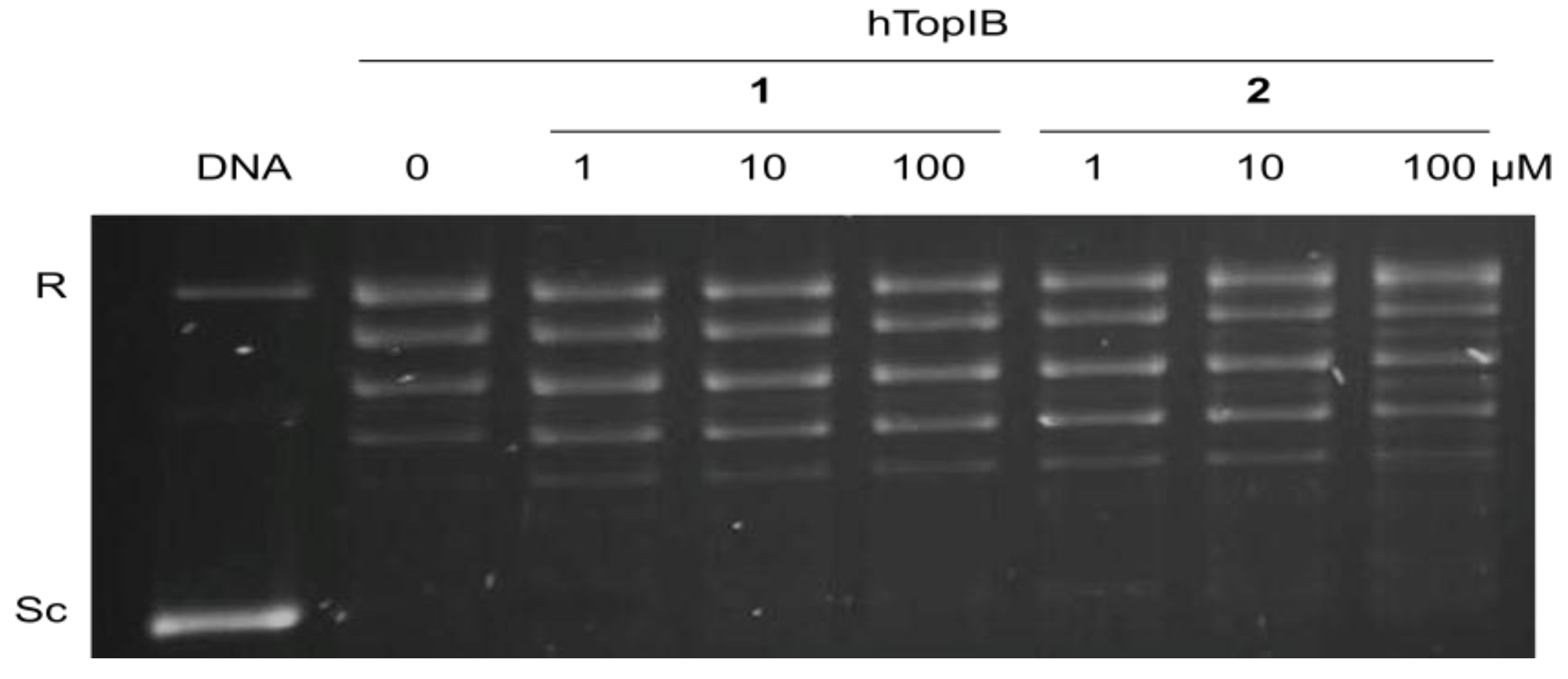 Marinedrugs 11 03661 g003 1024