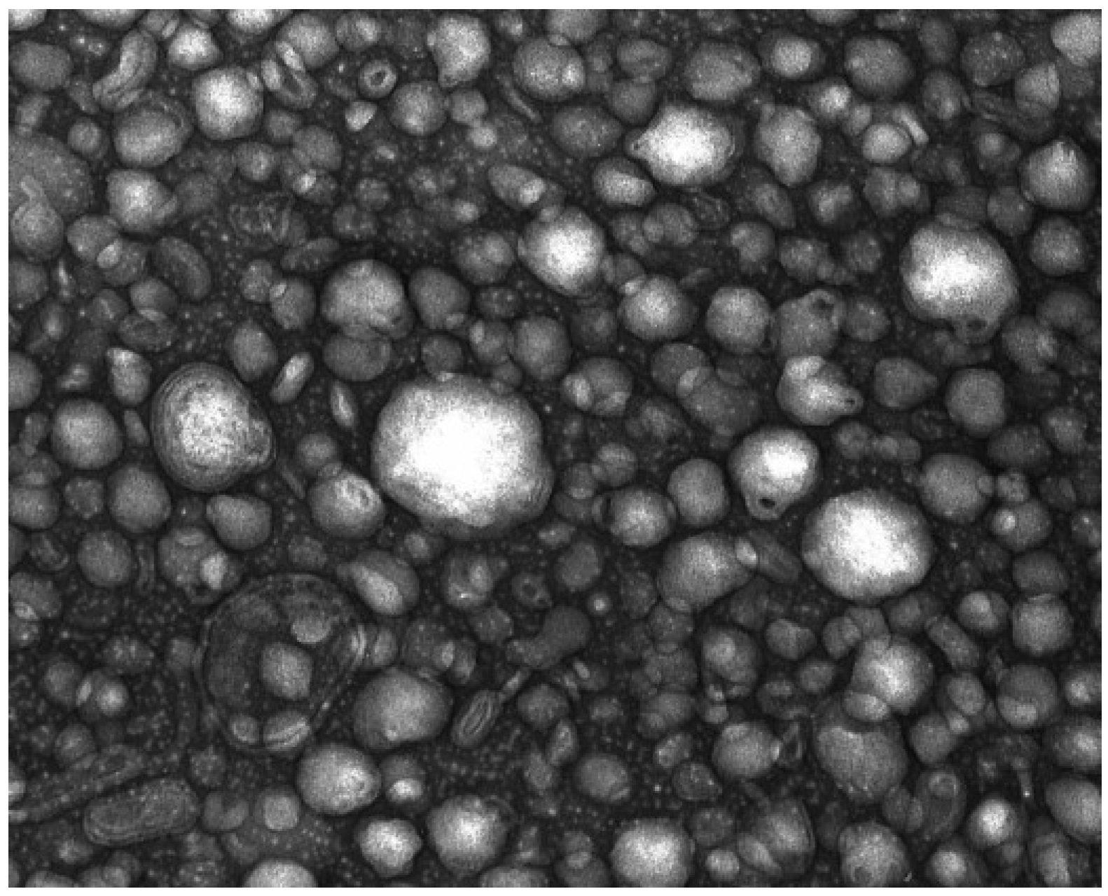 Marinedrugs 11 04294 g001