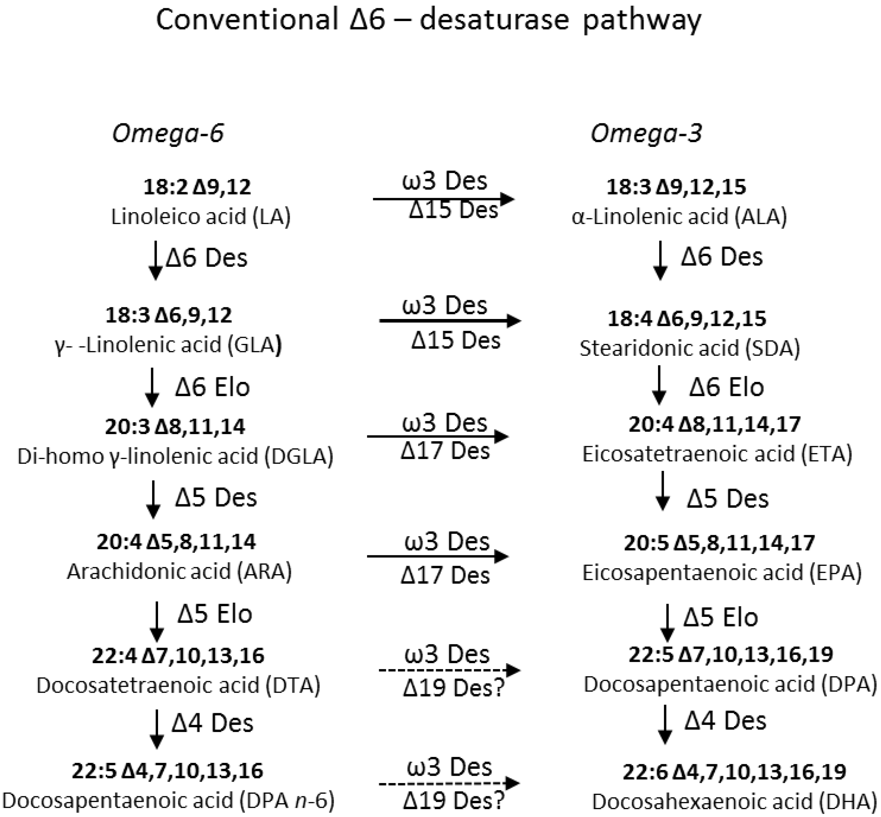 Marinedrugs 11 05116 g001