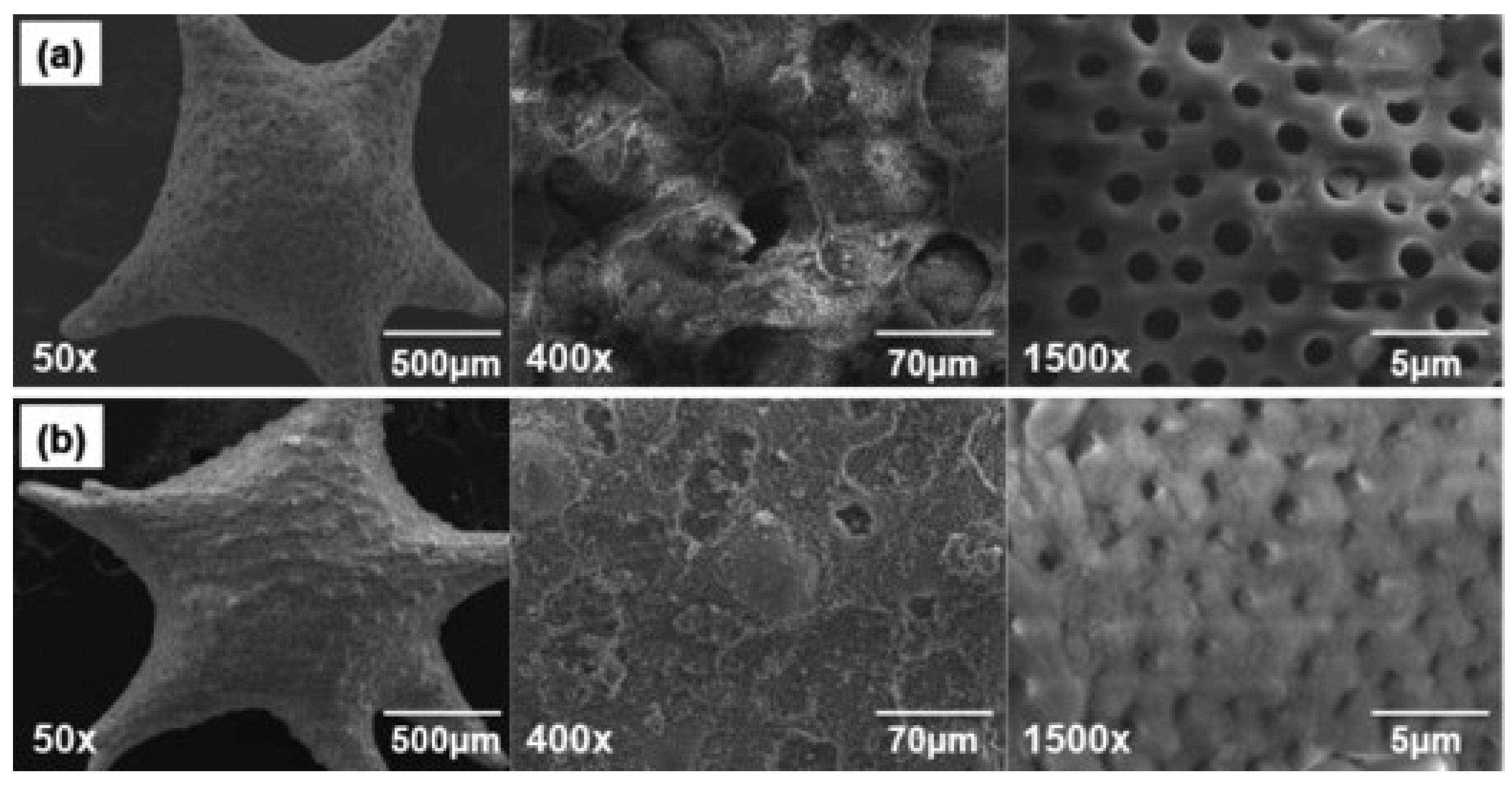 Marinedrugs 11 05148 g002 1024