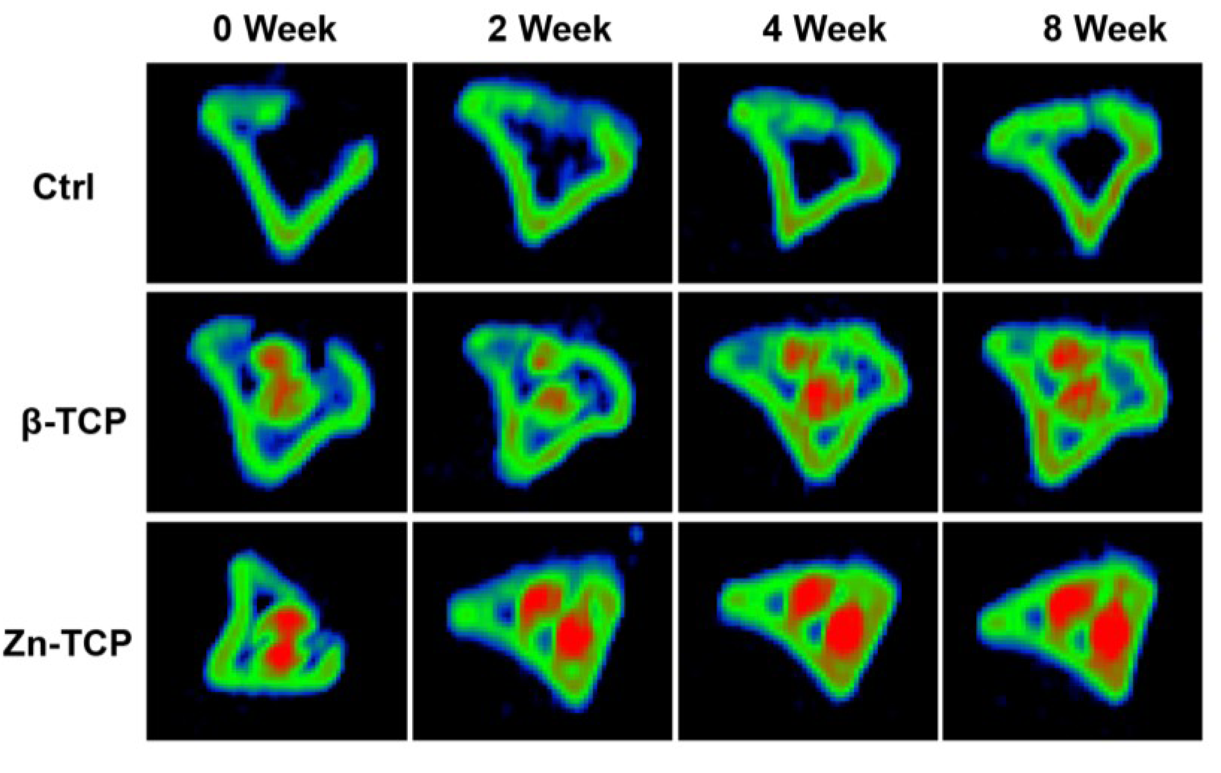 Marinedrugs 11 05148 g004 1024