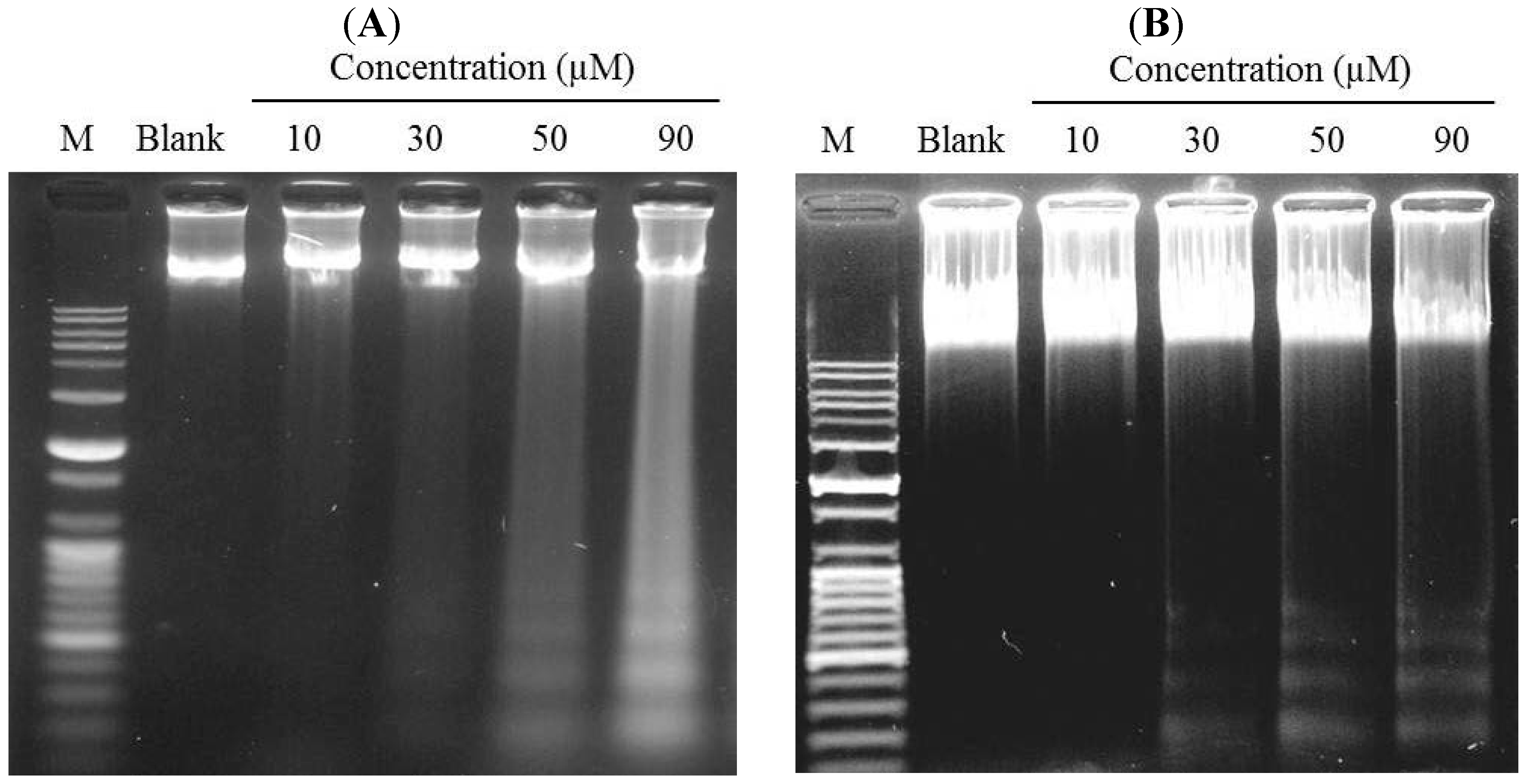Marinedrugs 12 00069 g004