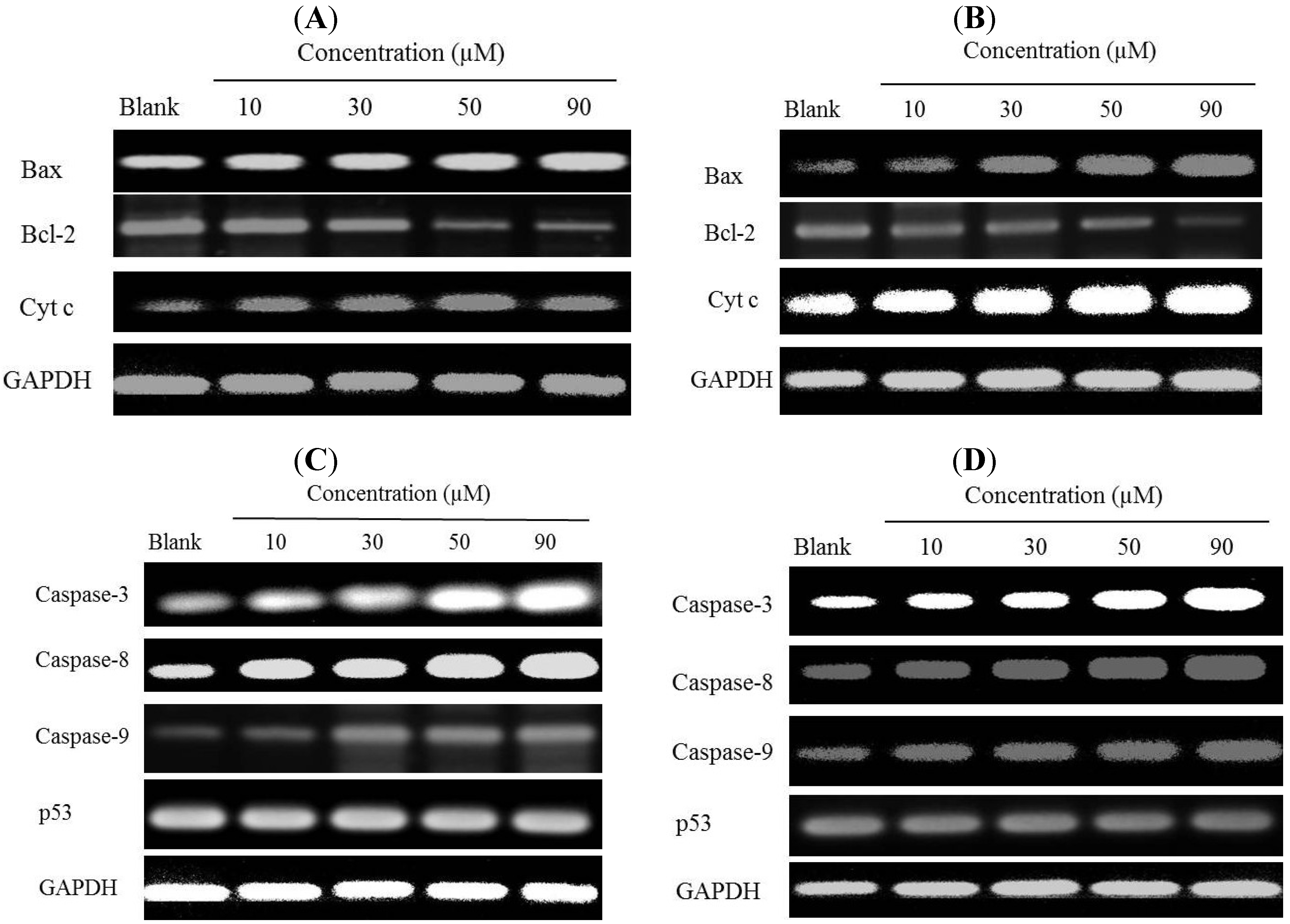 Marinedrugs 12 00069 g006