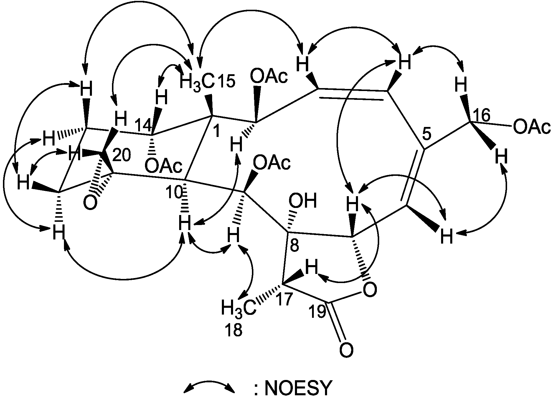 Marinedrugs 12 00589 g003 1024