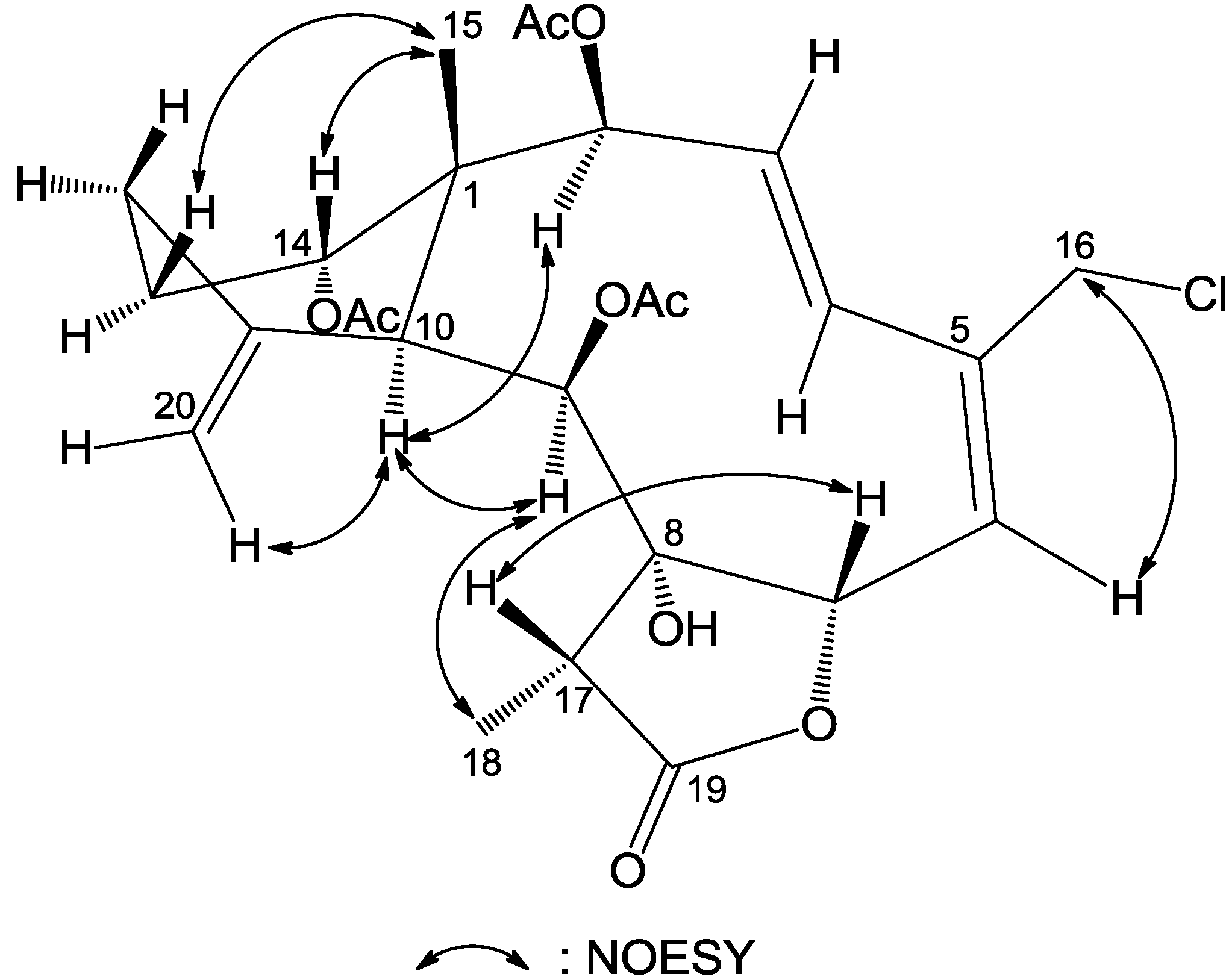 Marinedrugs 12 00589 g006 1024