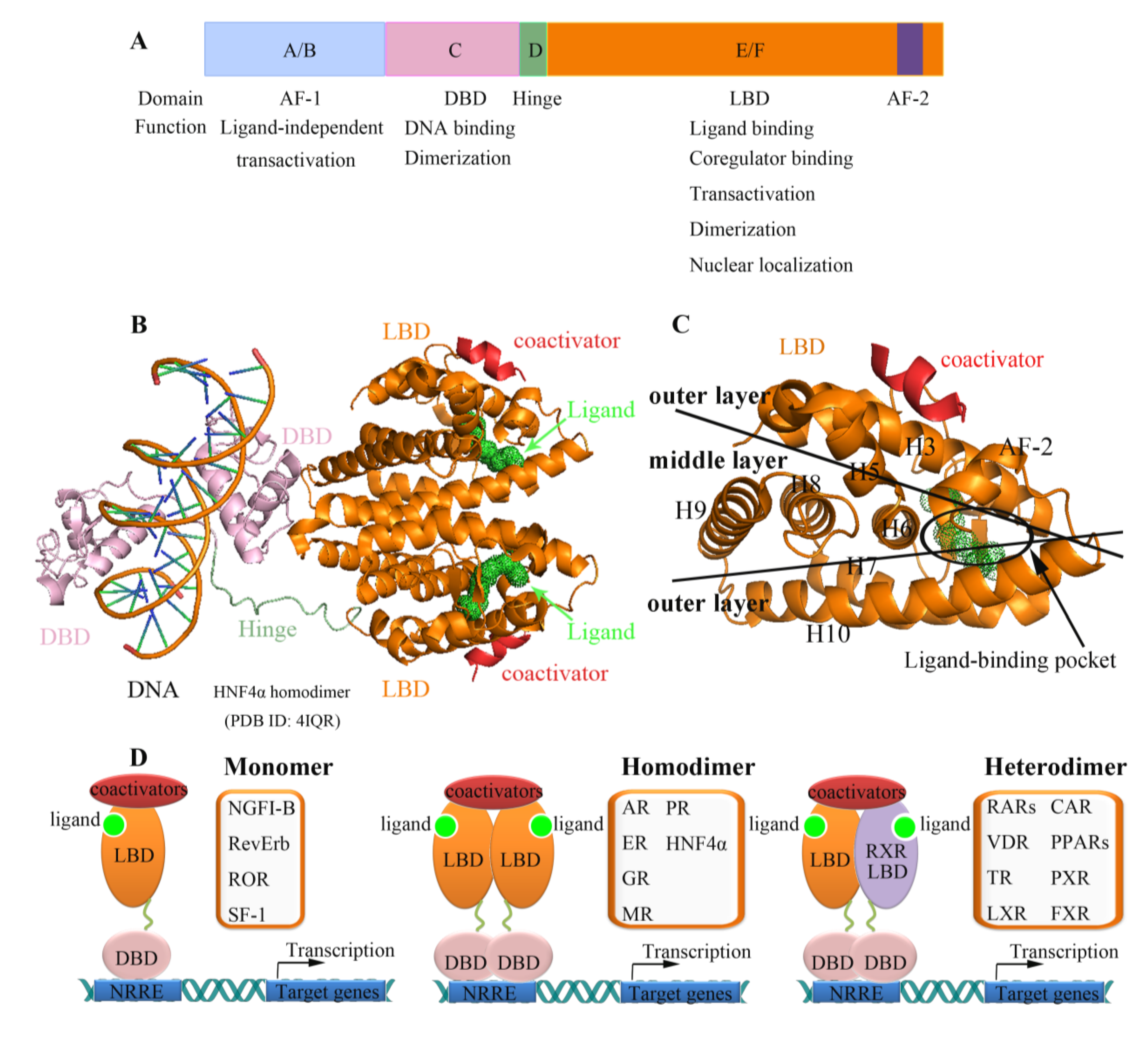 Marine Drugs Free Full Text Targeting Nuclear Receptors With