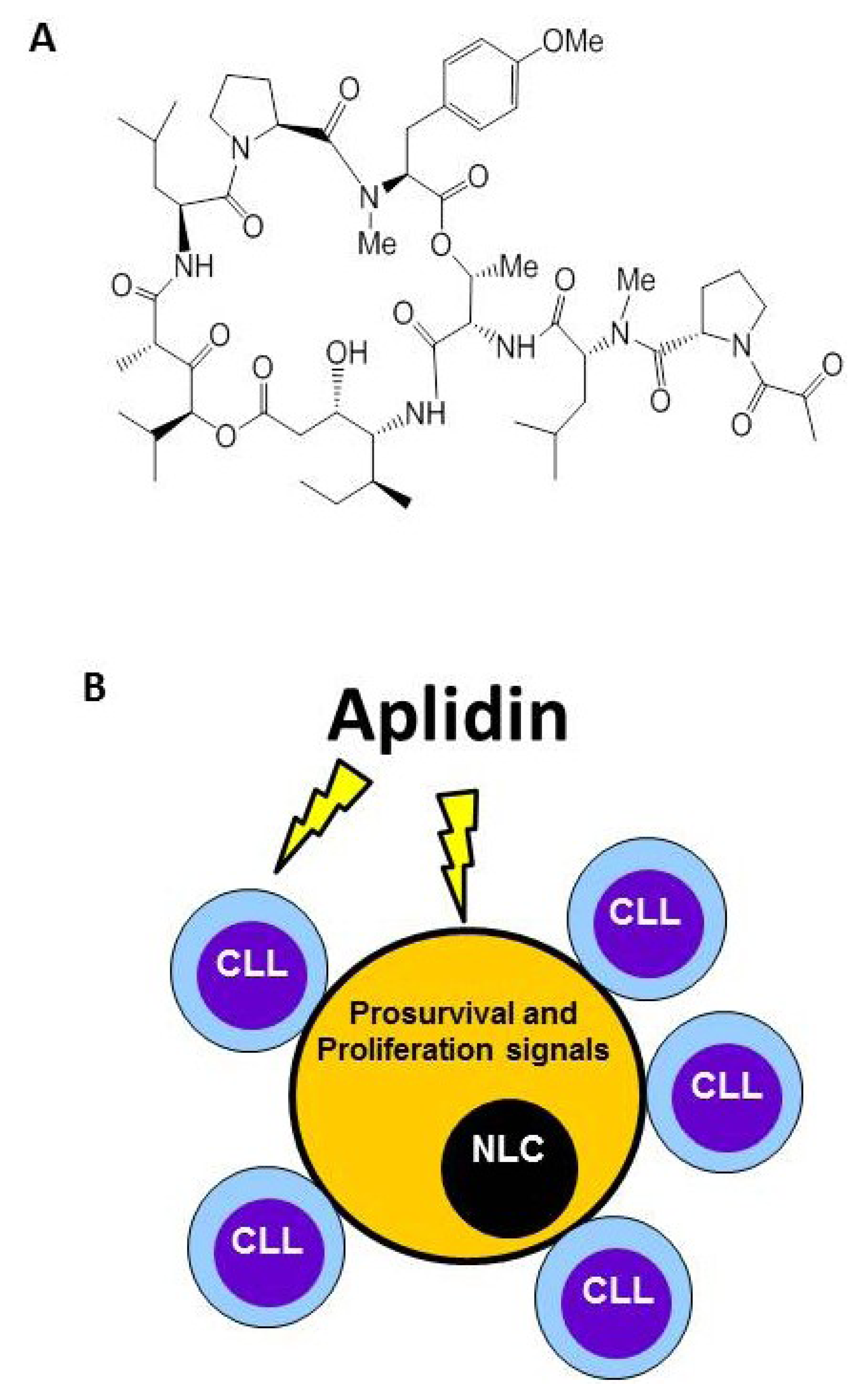 Marinedrugs 12 00719 g002 1024
