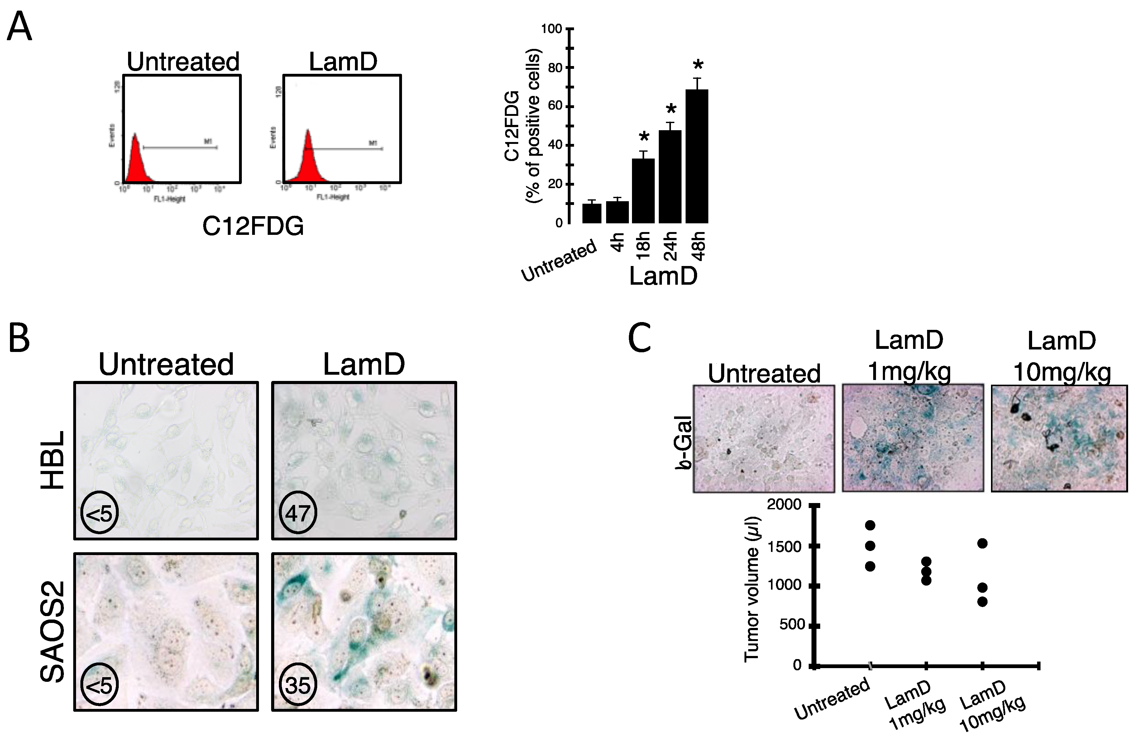 Marinedrugs 12 00779 g003