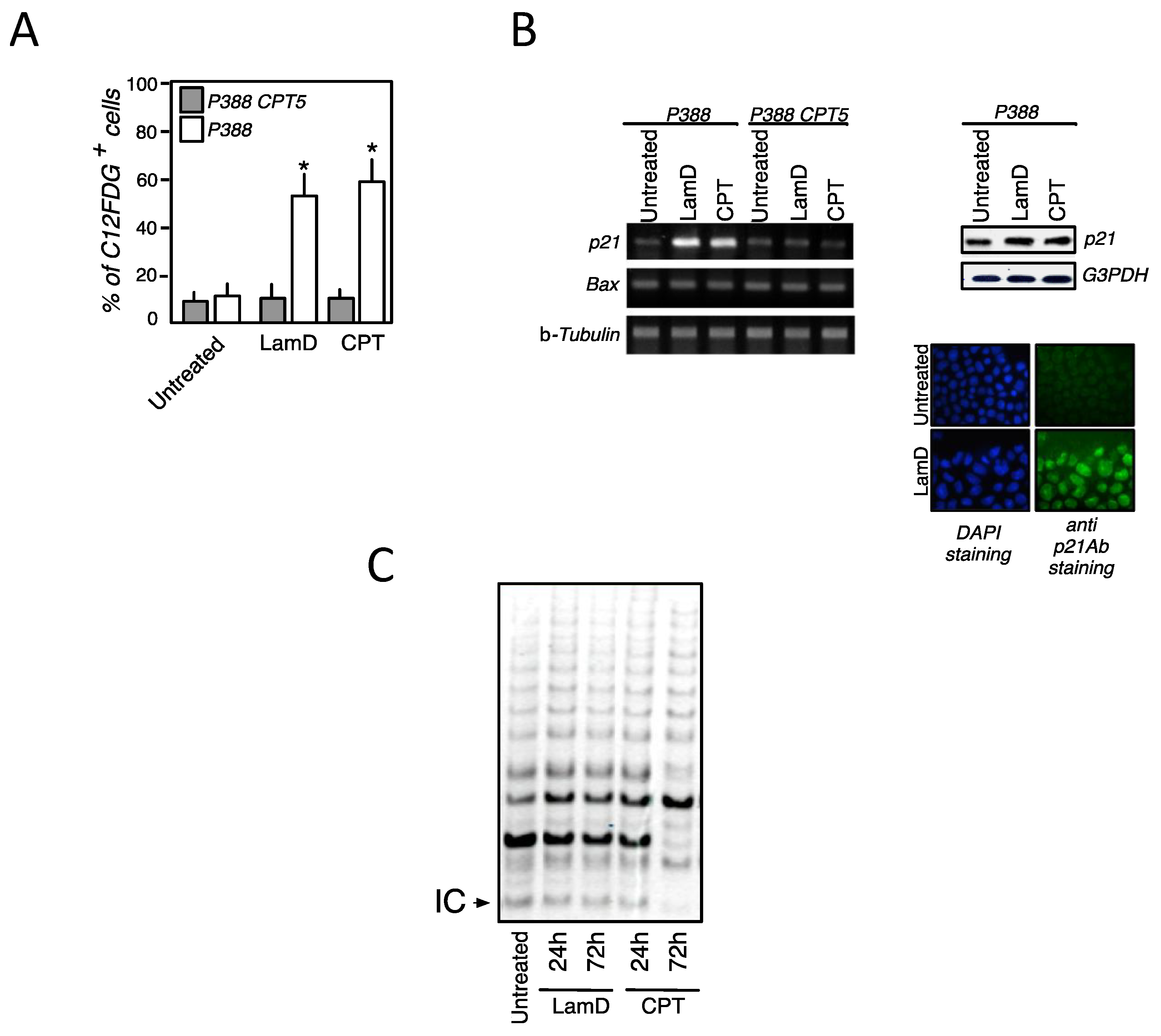 Marinedrugs 12 00779 g005