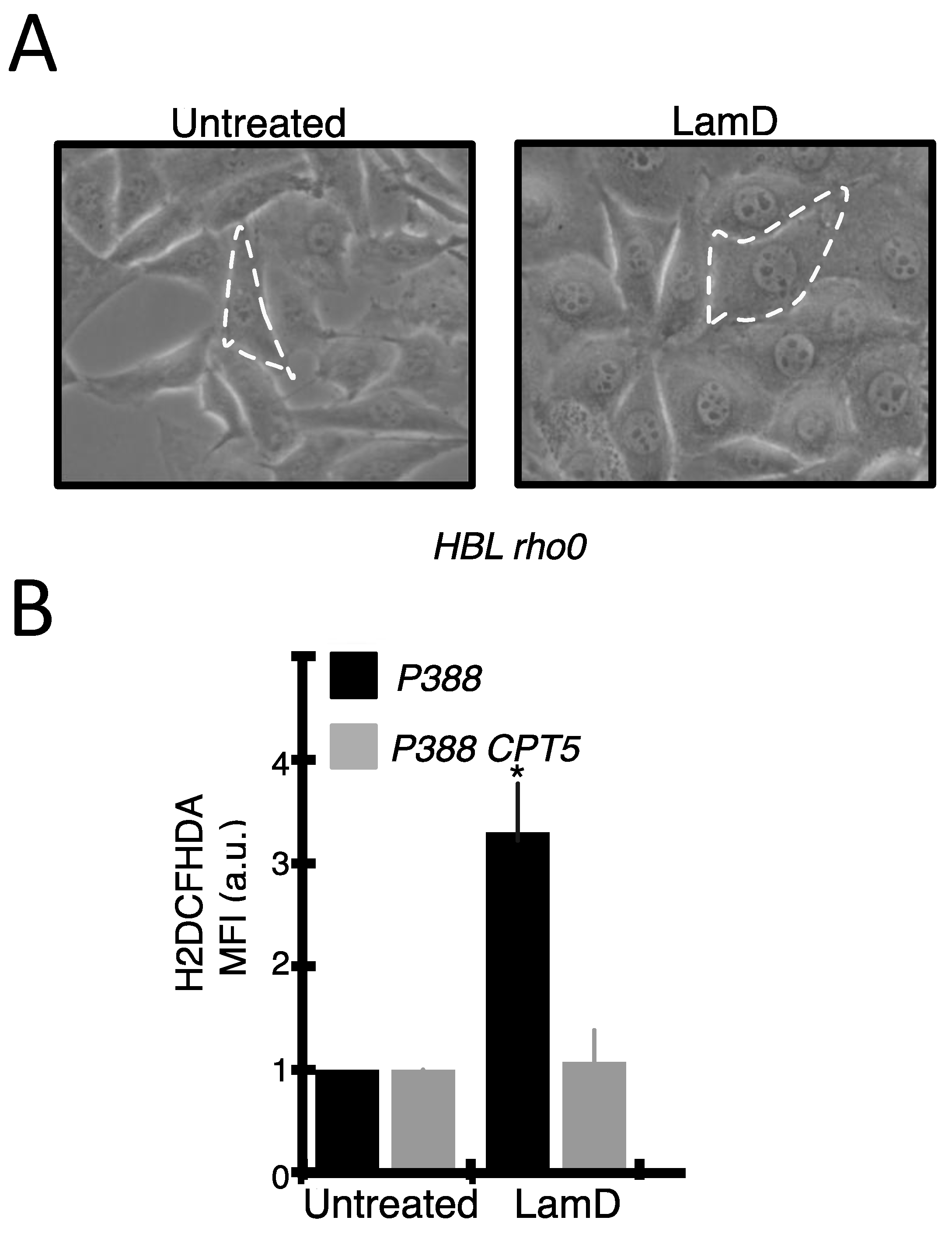 Marinedrugs 12 00779 g009