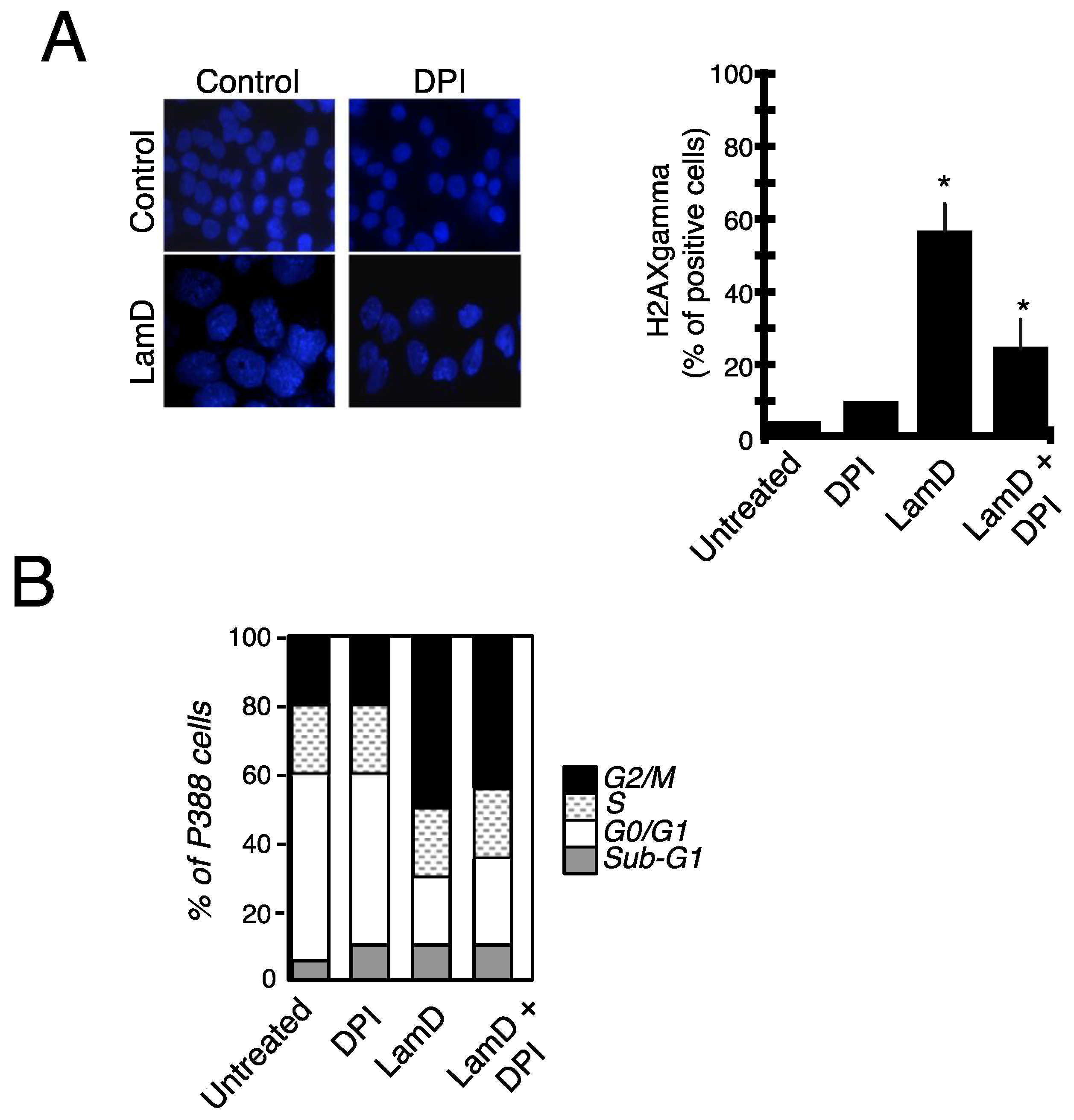 Marinedrugs 12 00779 g010